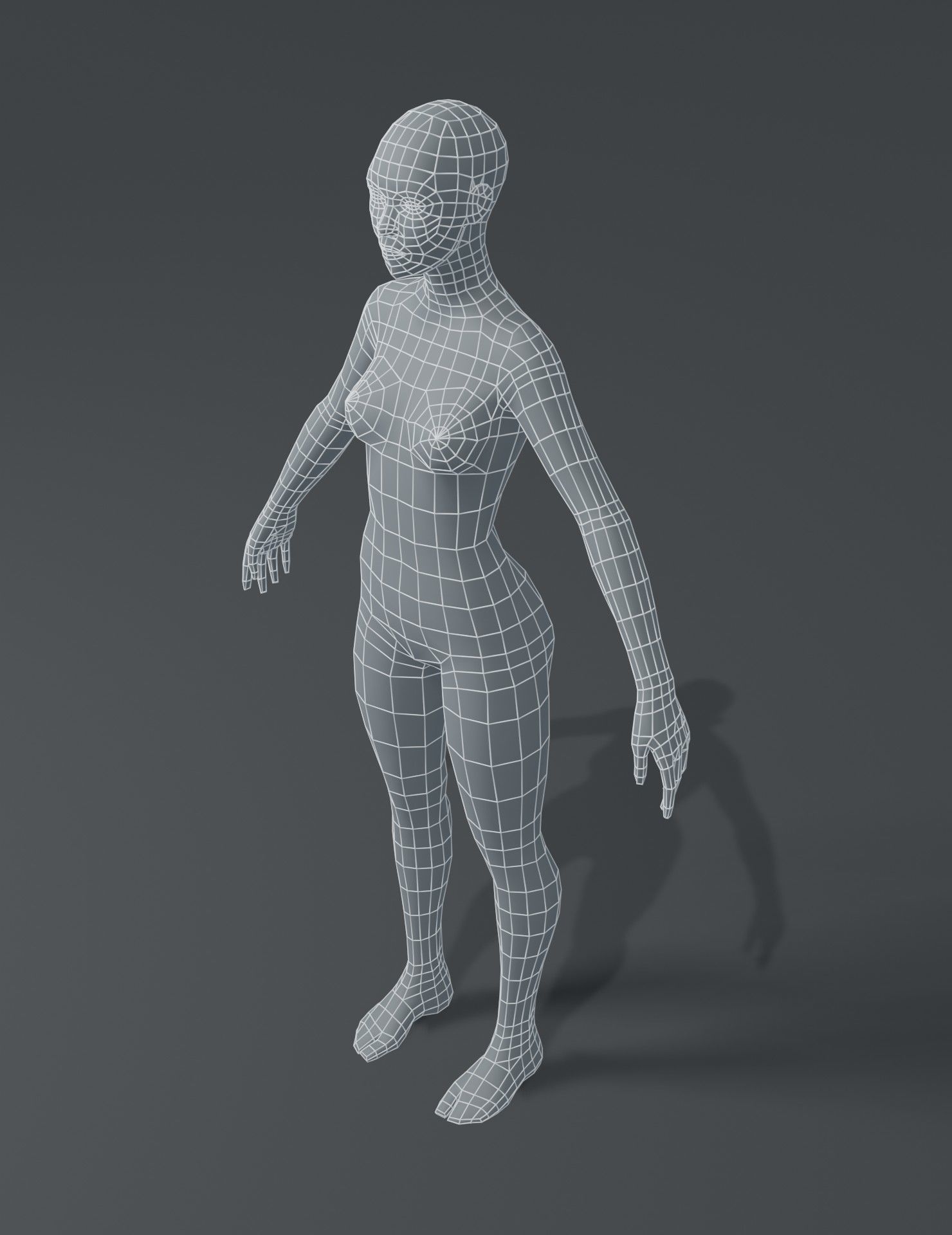 Human Body Base Mesh 3D Model Collection_43