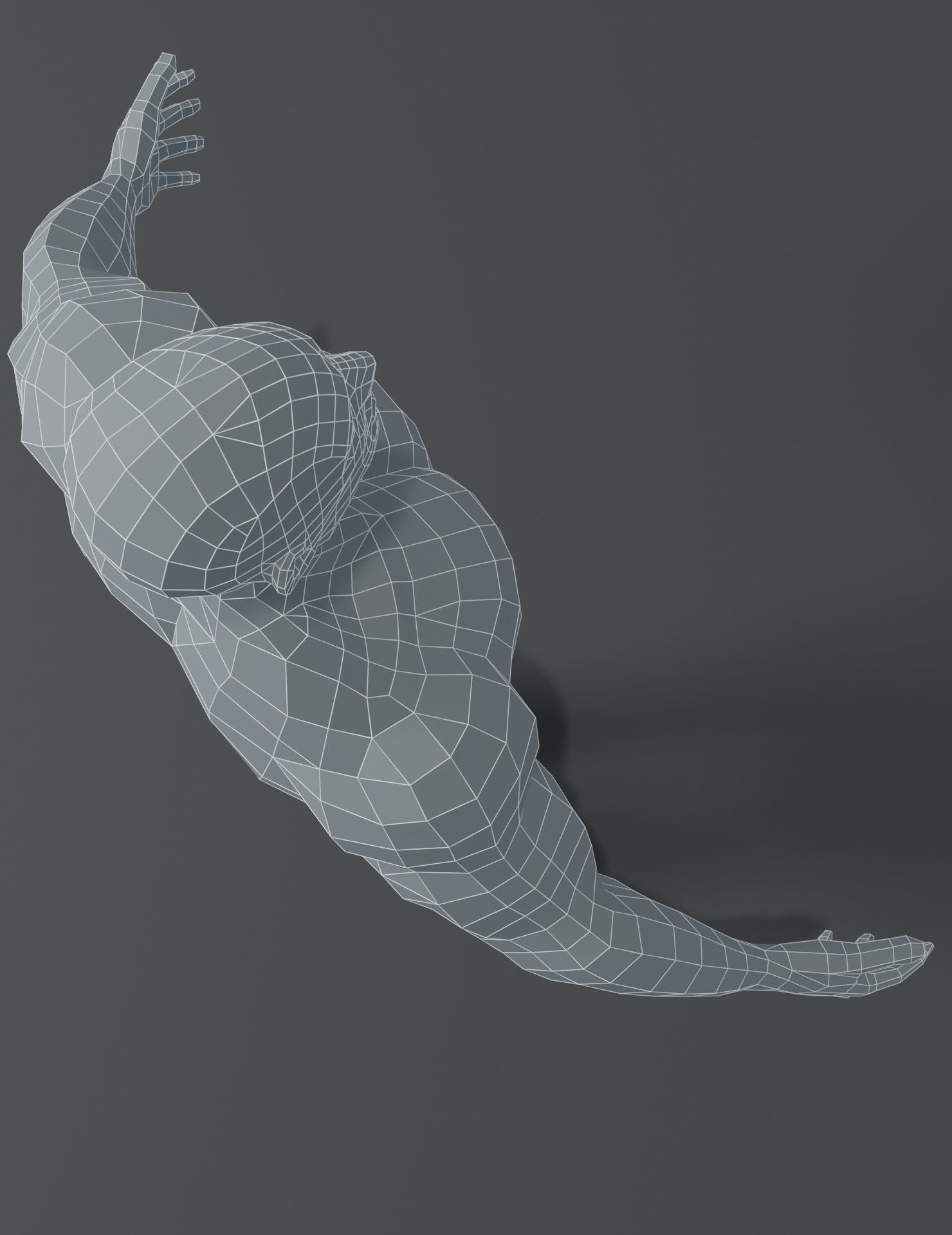 Human Body Base Mesh 3D Model Collection_118