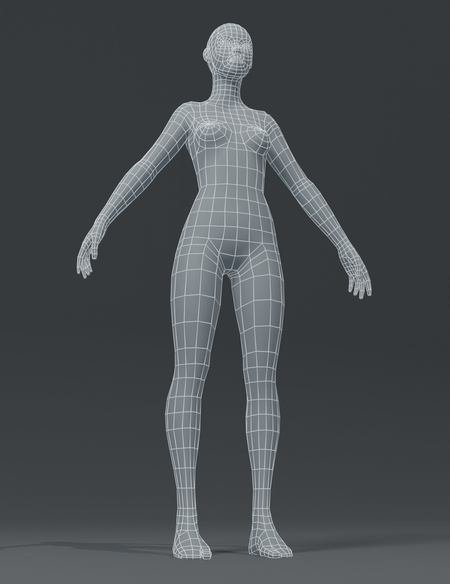 Human Body Base Mesh 3D Model Collection_52