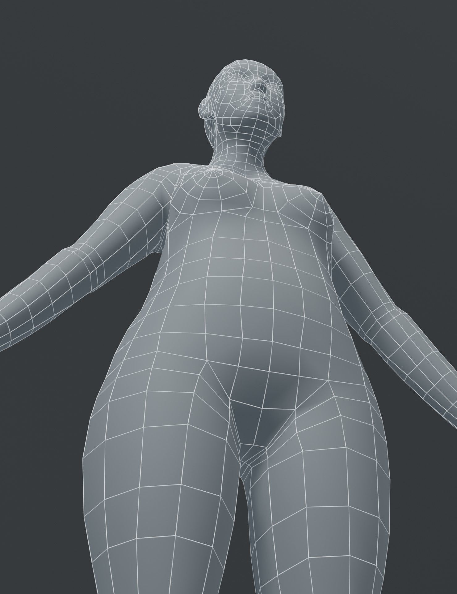 Human Body Base Mesh 3D Model Collection_88