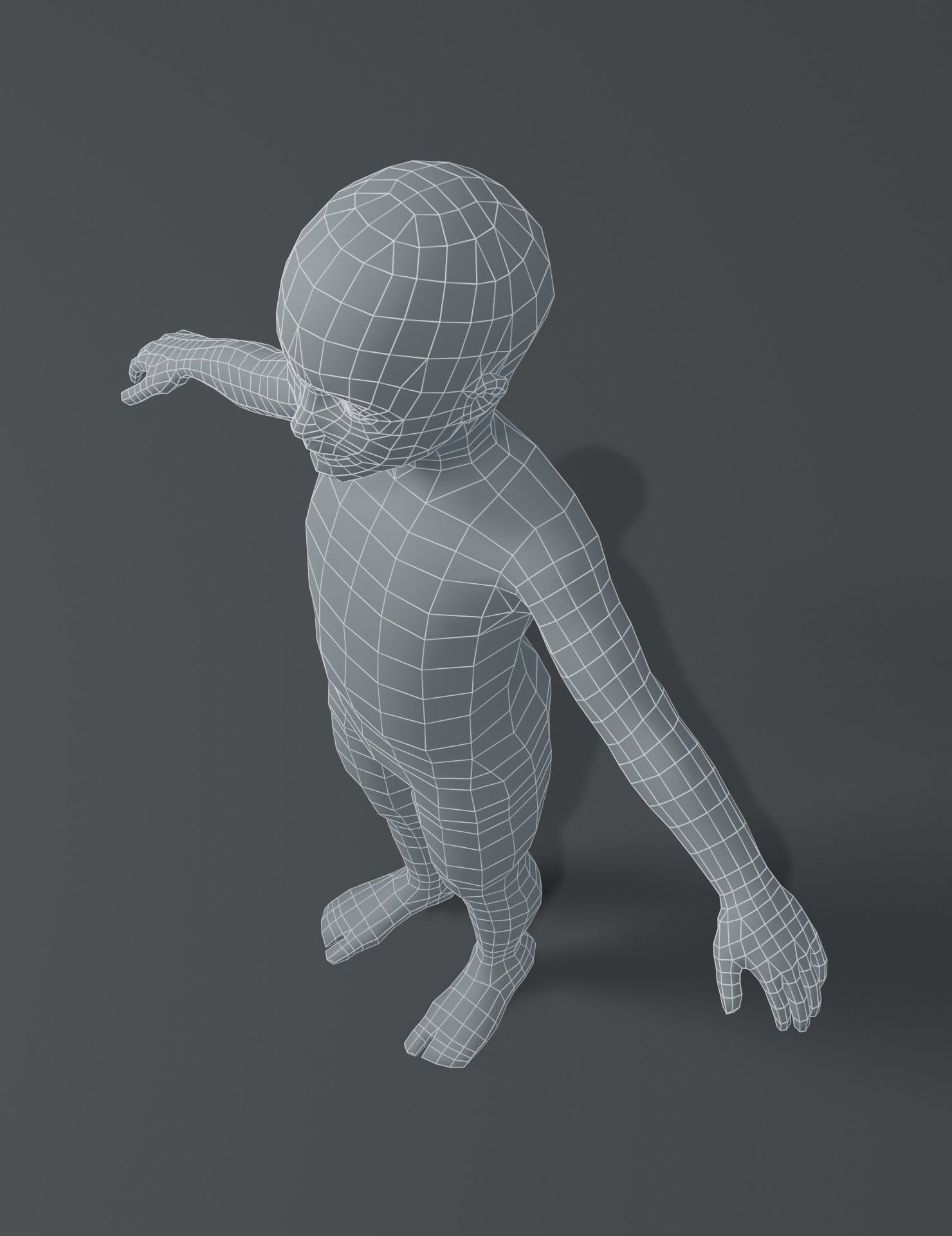 Human Body Base Mesh 3D Model Collection_144