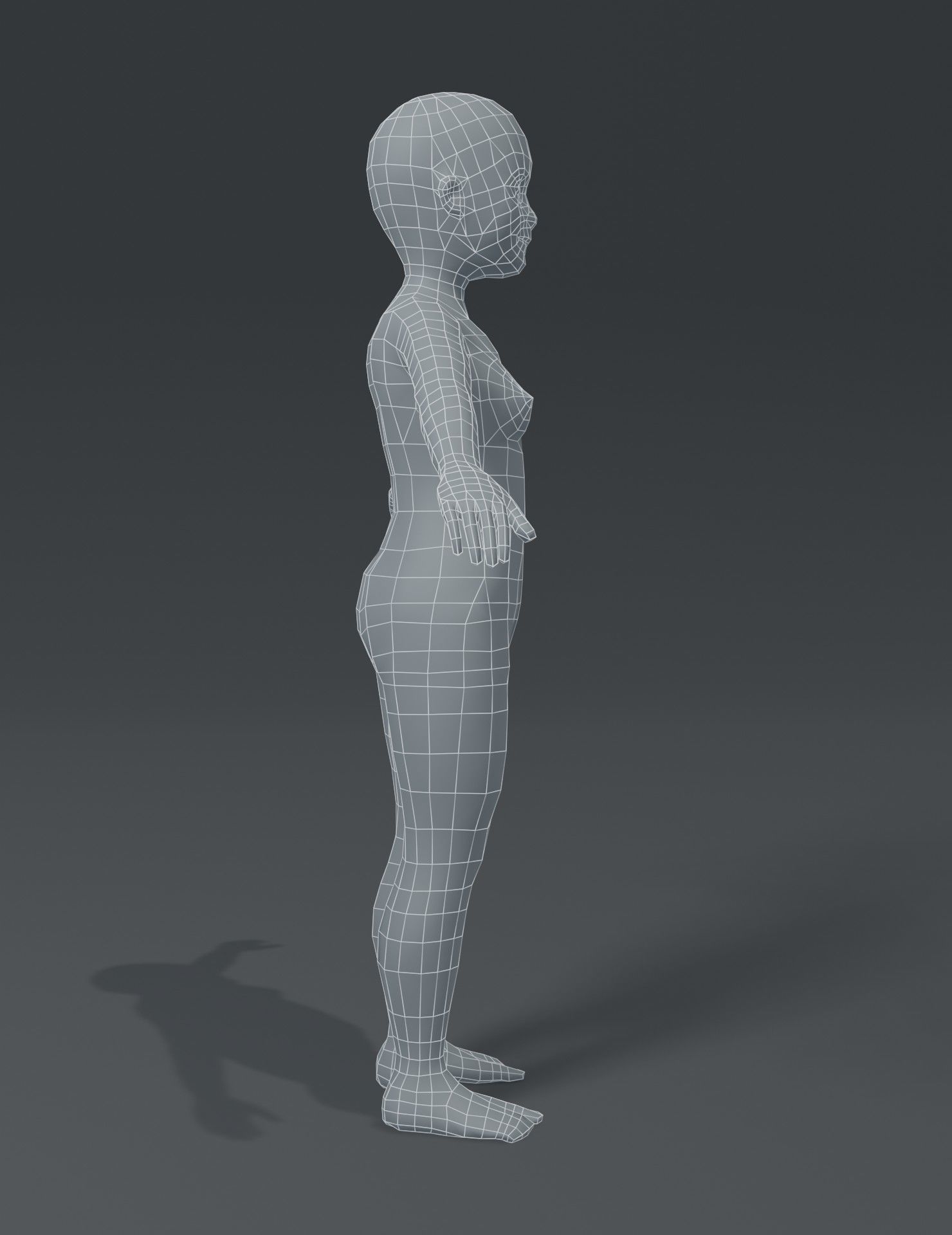 Human Body Base Mesh 3D Model Collection_162