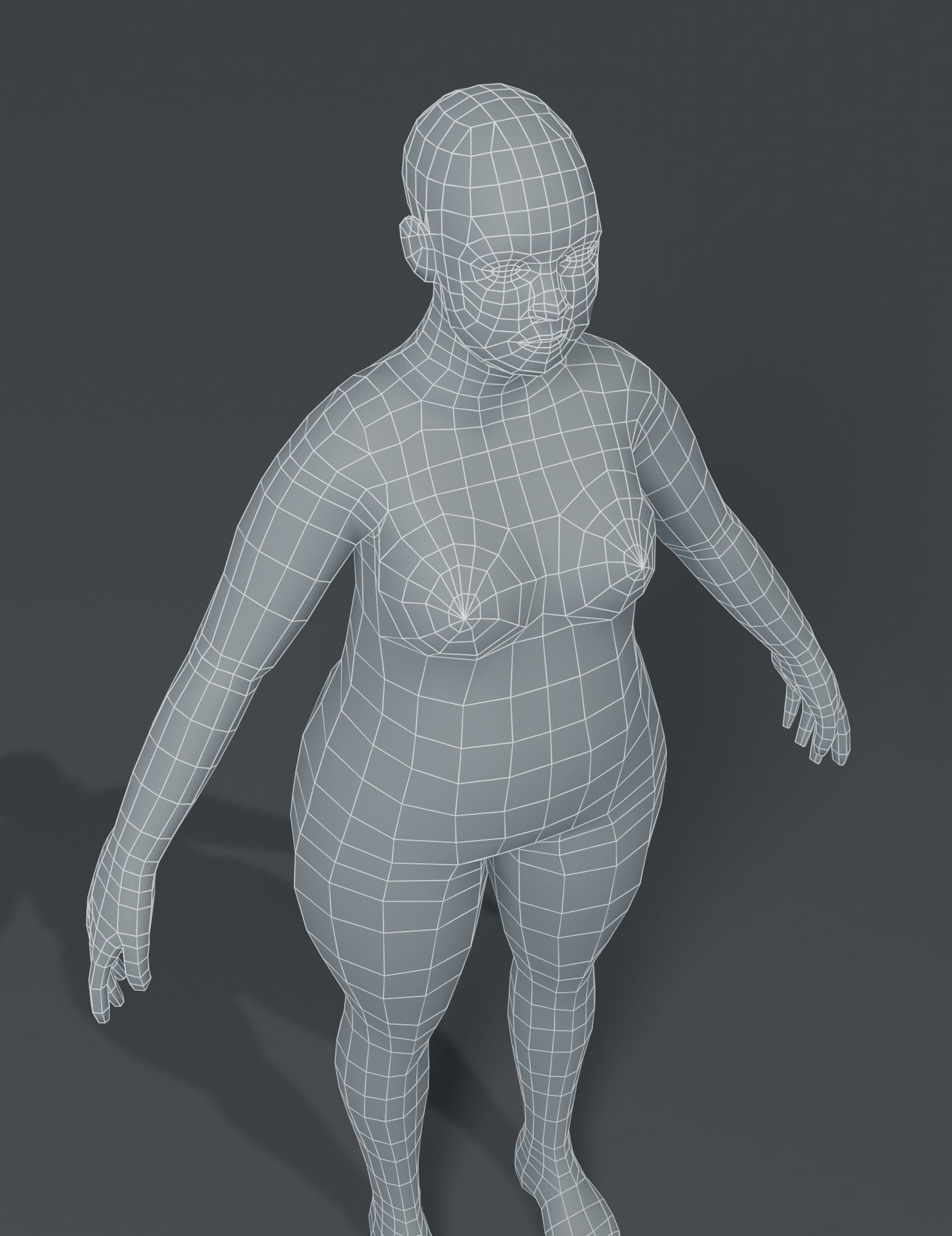 Human Body Base Mesh 3D Model Collection_89