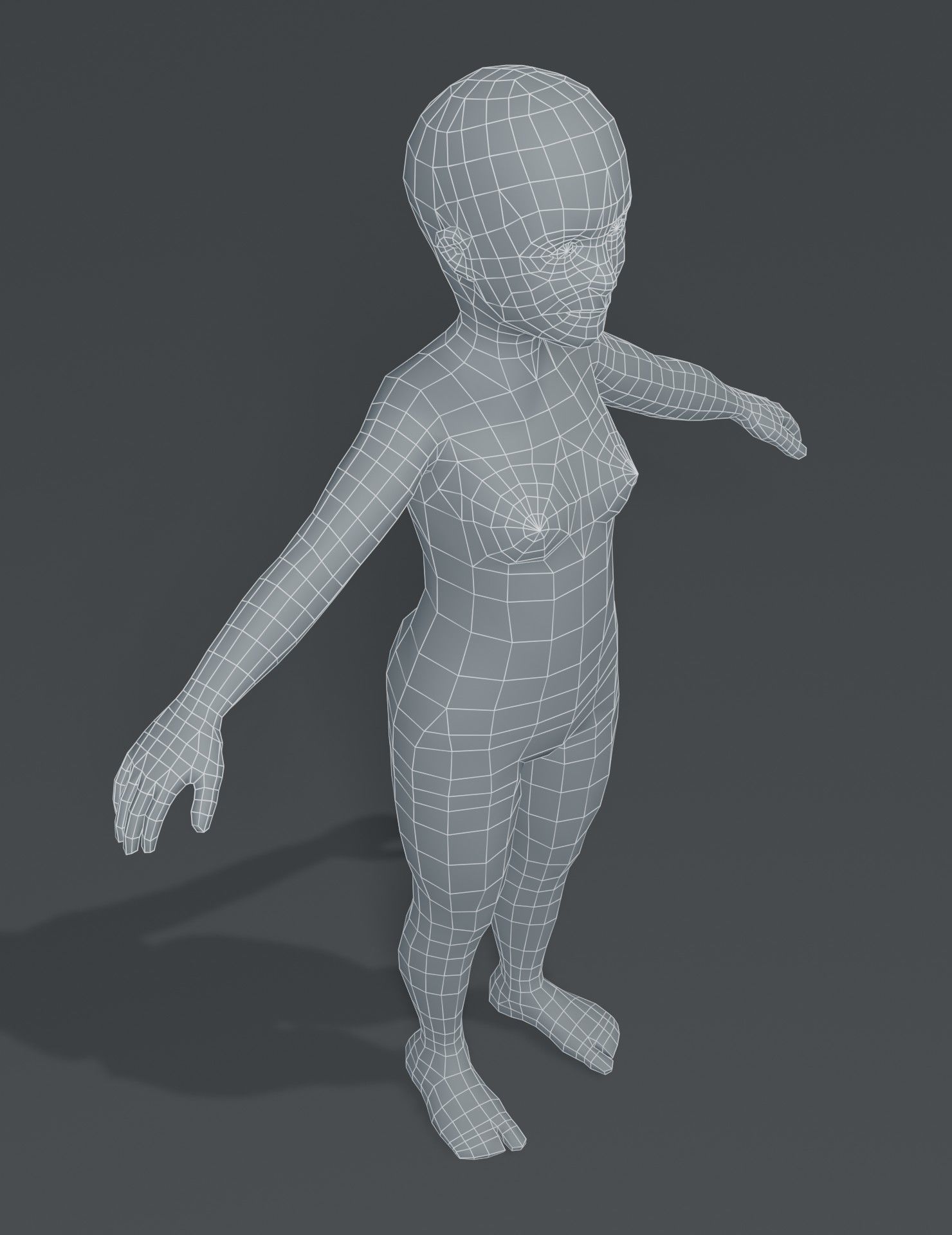 Human Body Base Mesh 3D Model Collection_167