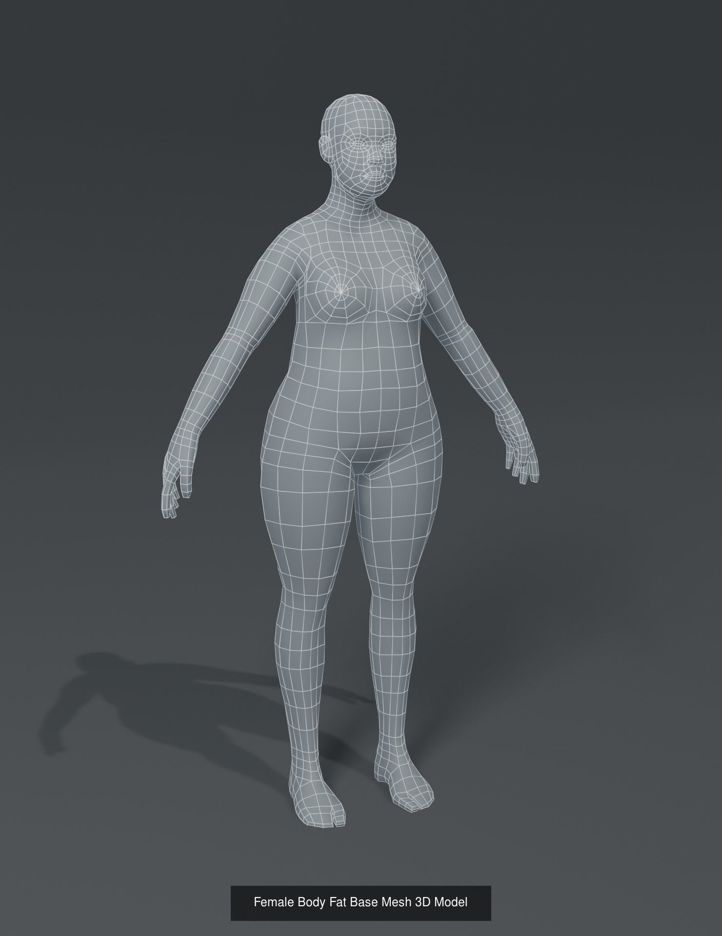 Human Body Base Mesh 3D Model Collection_14