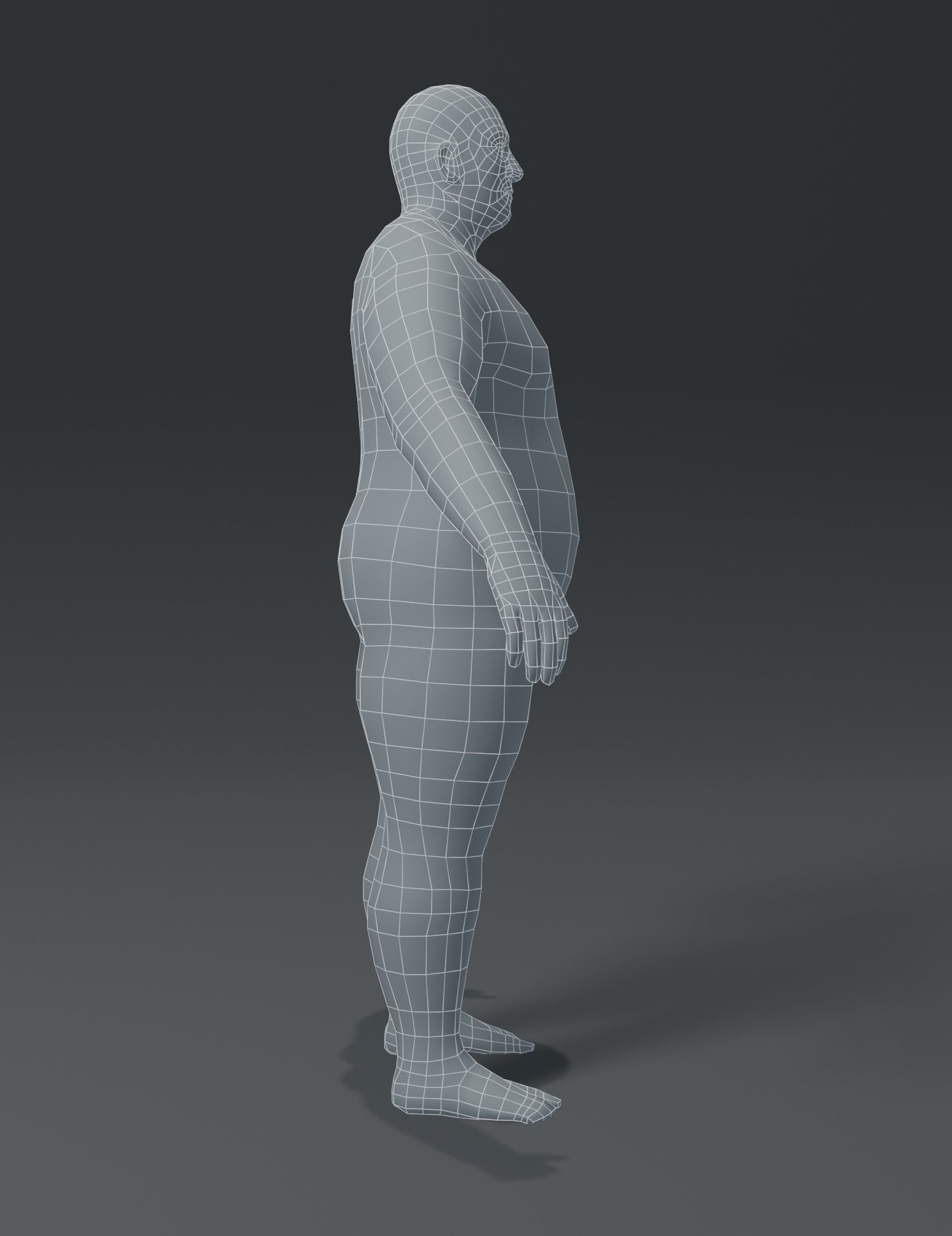 Human Body Base Mesh 3D Model Collection_78
