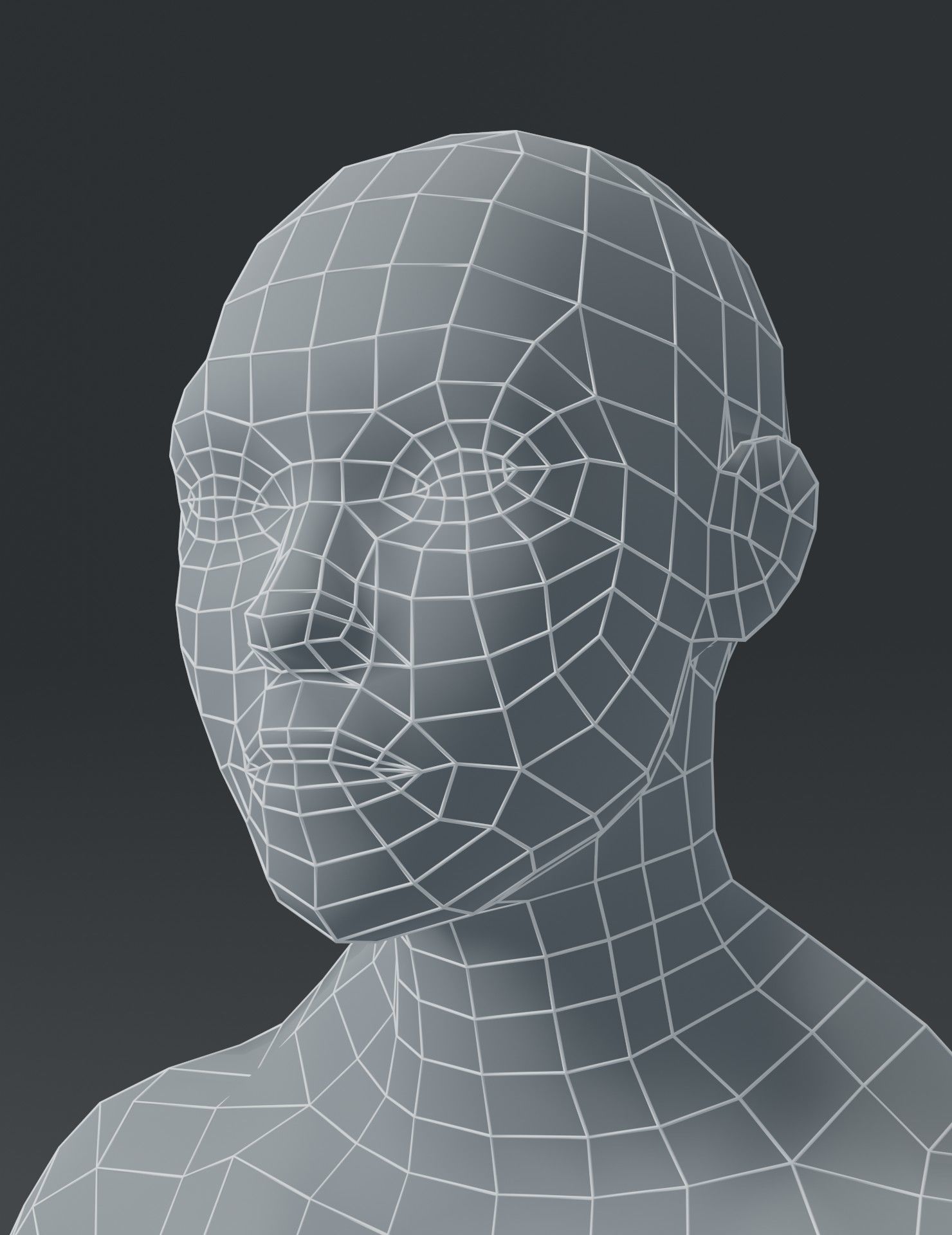 Human Body Base Mesh 3D Model Collection_128