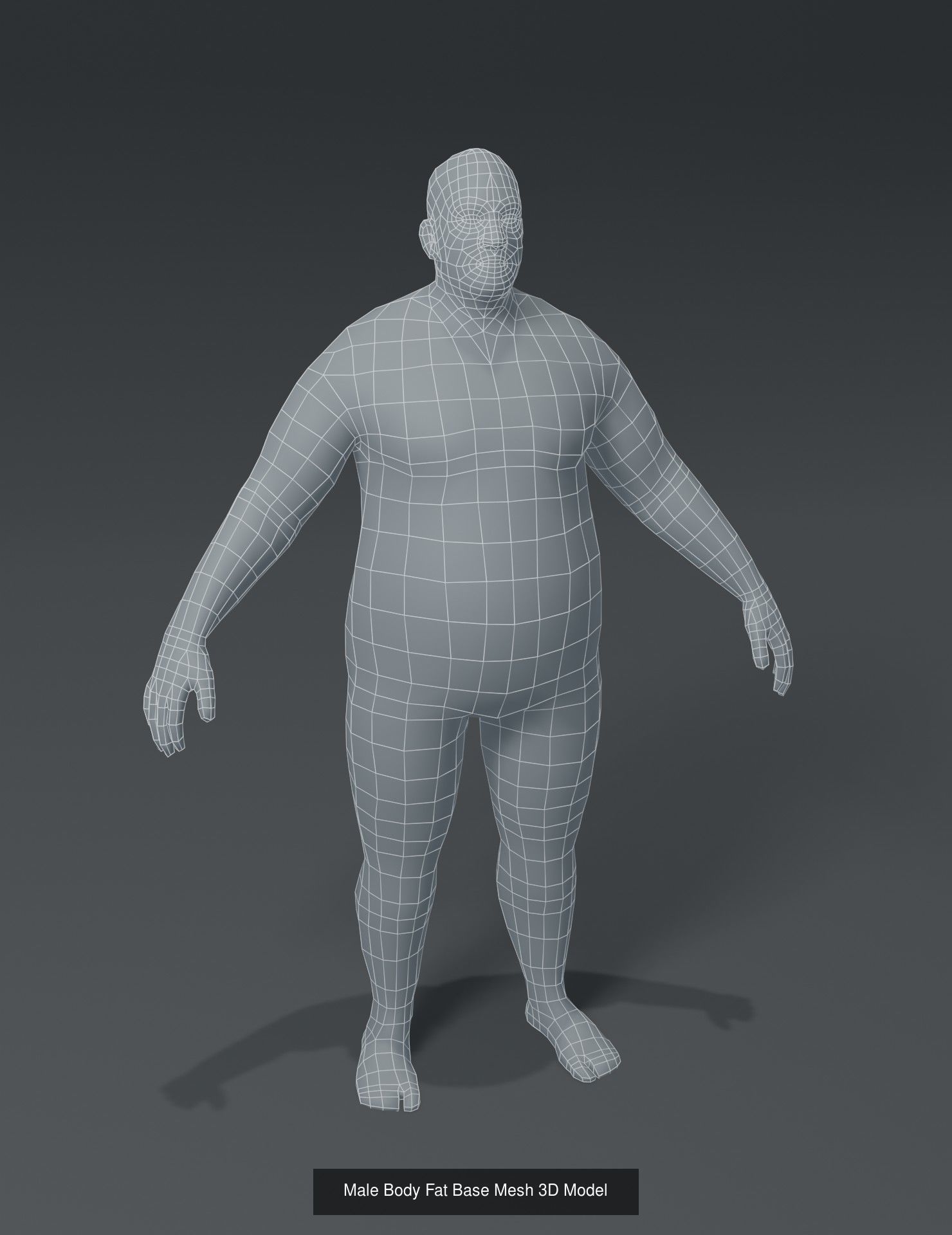 Human Body Base Mesh 3D Model Collection_13