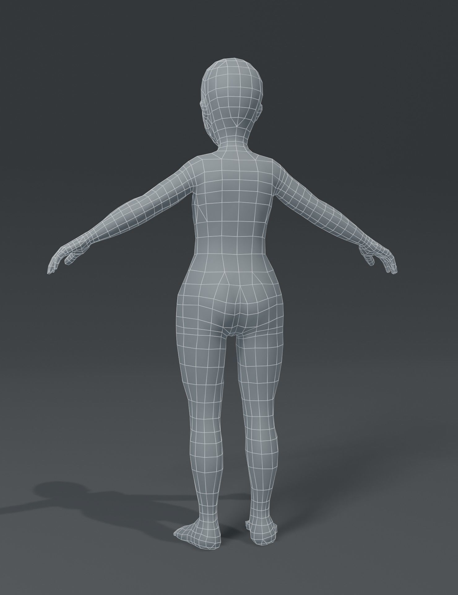 Human Body Base Mesh 3D Model Collection_164