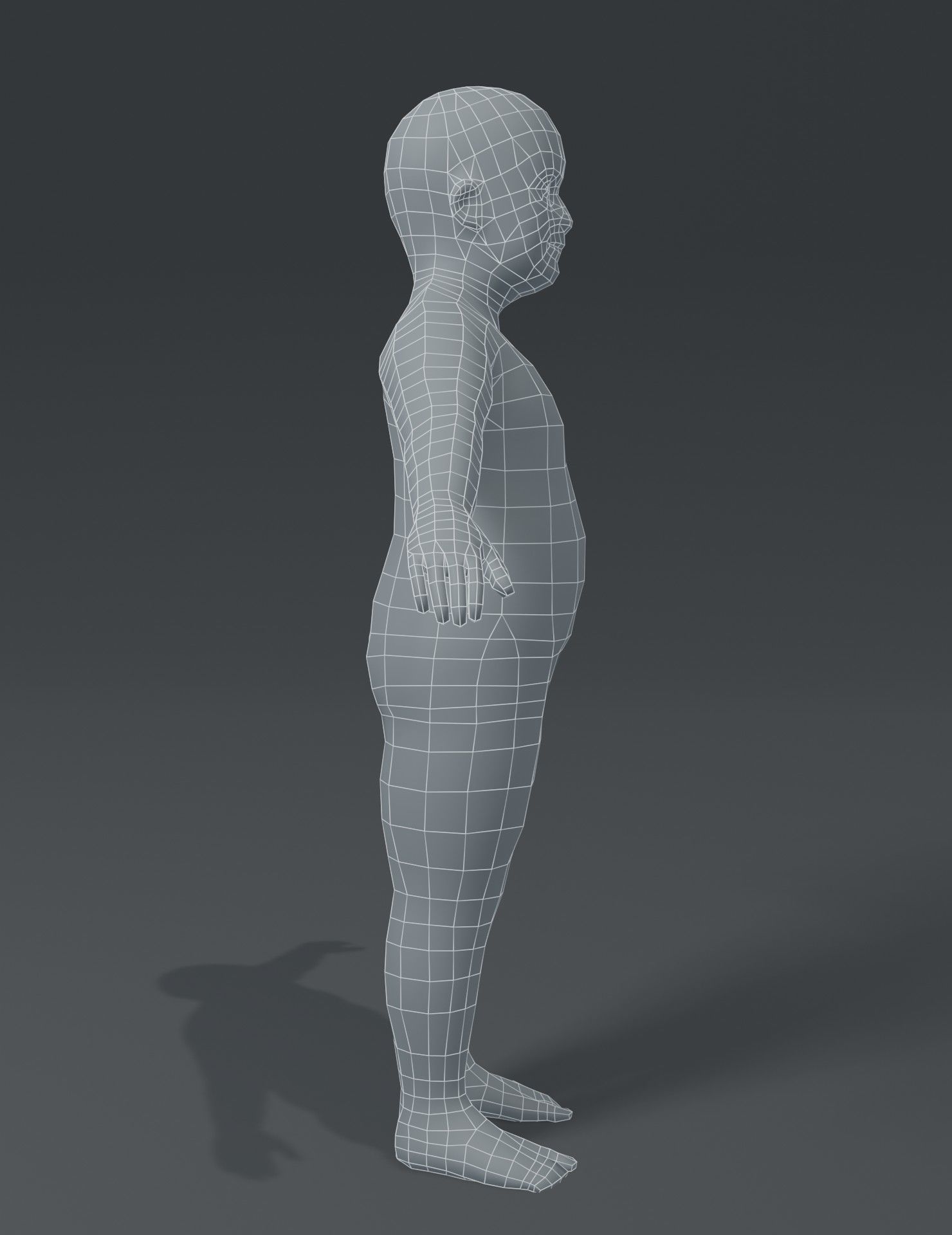 Human Body Base Mesh 3D Model Collection_184