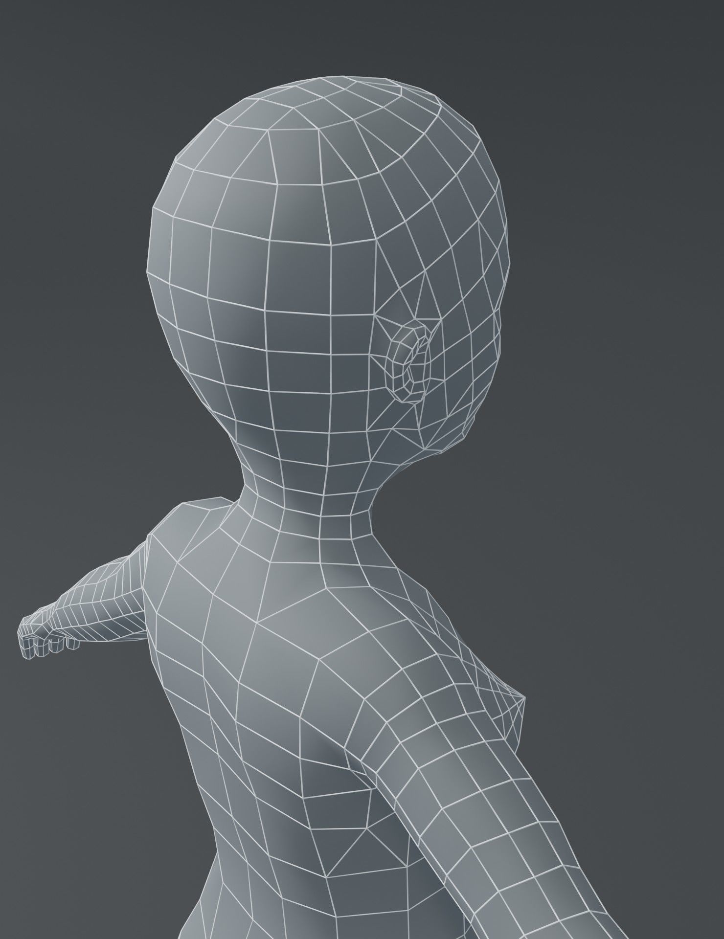 Human Body Base Mesh 3D Model Collection_165