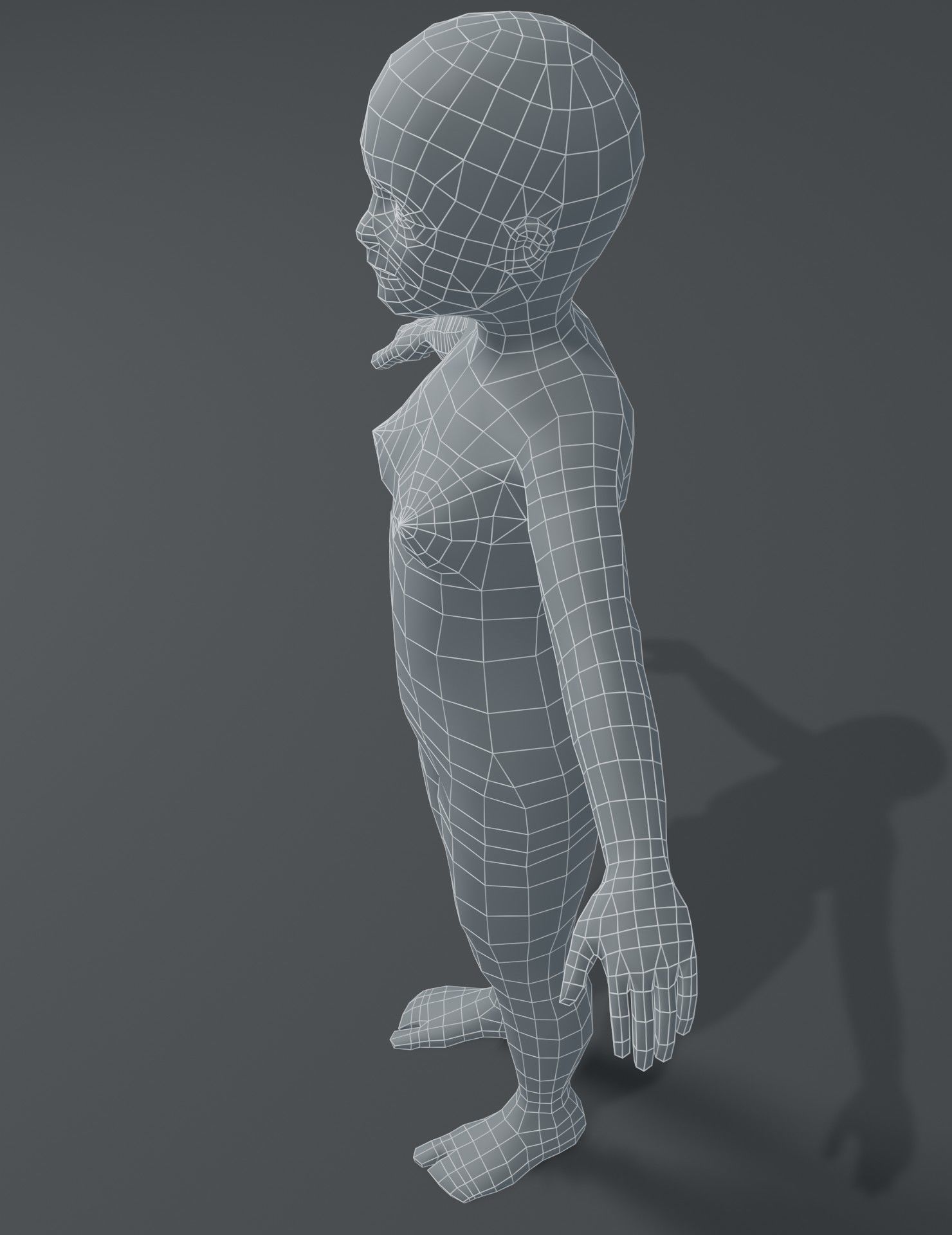 Human Body Base Mesh 3D Model Collection_169