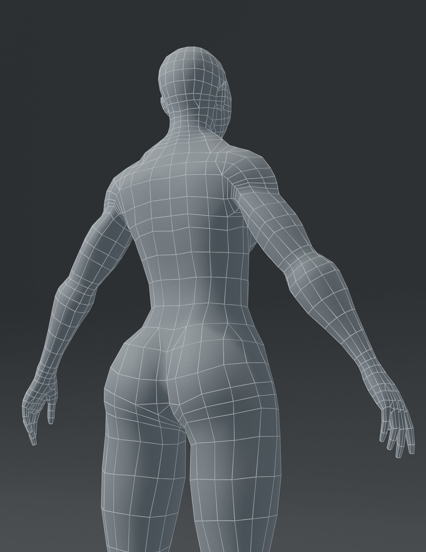 Human Body Base Mesh 3D Model Collection_127