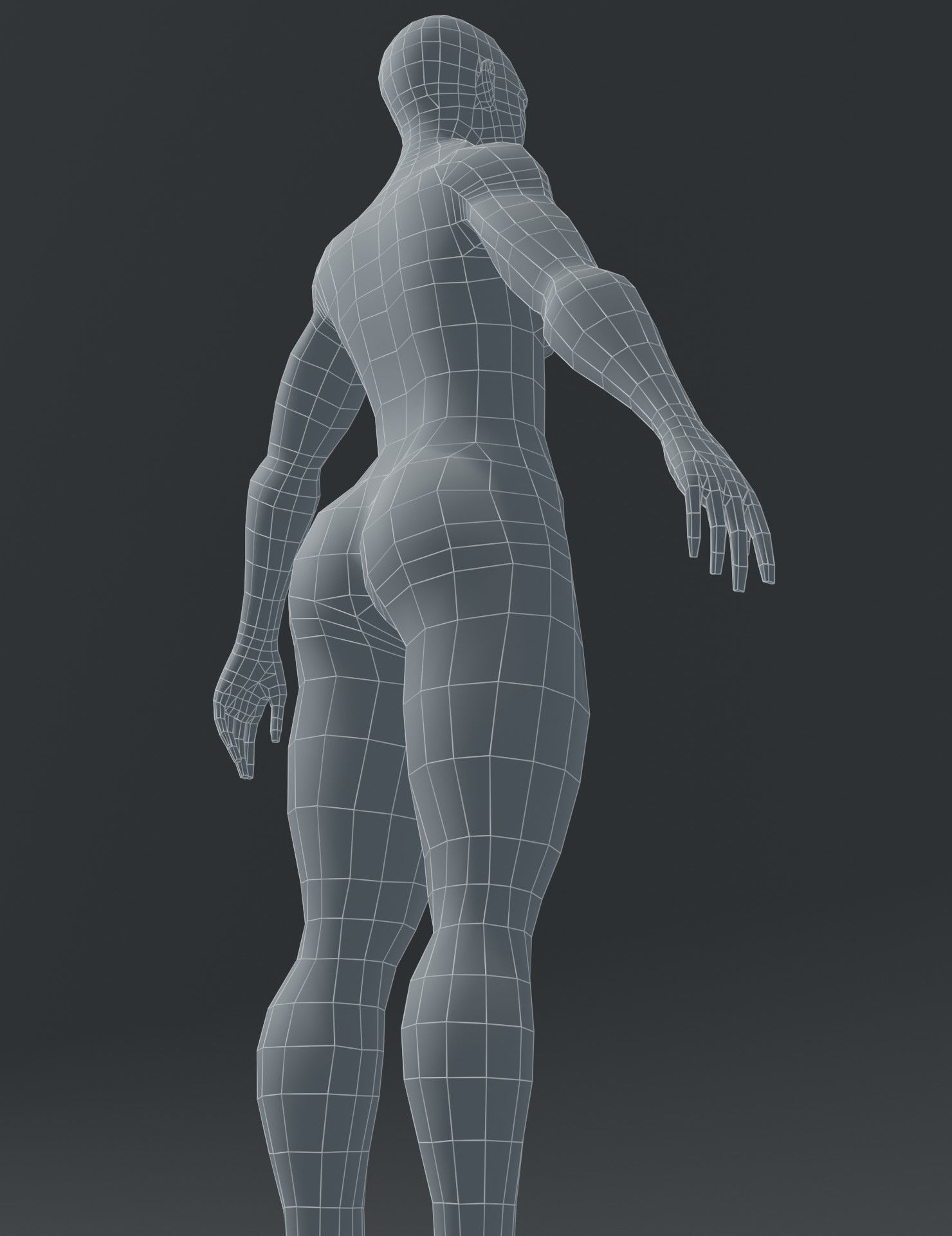 Human Body Base Mesh 3D Model Collection_139