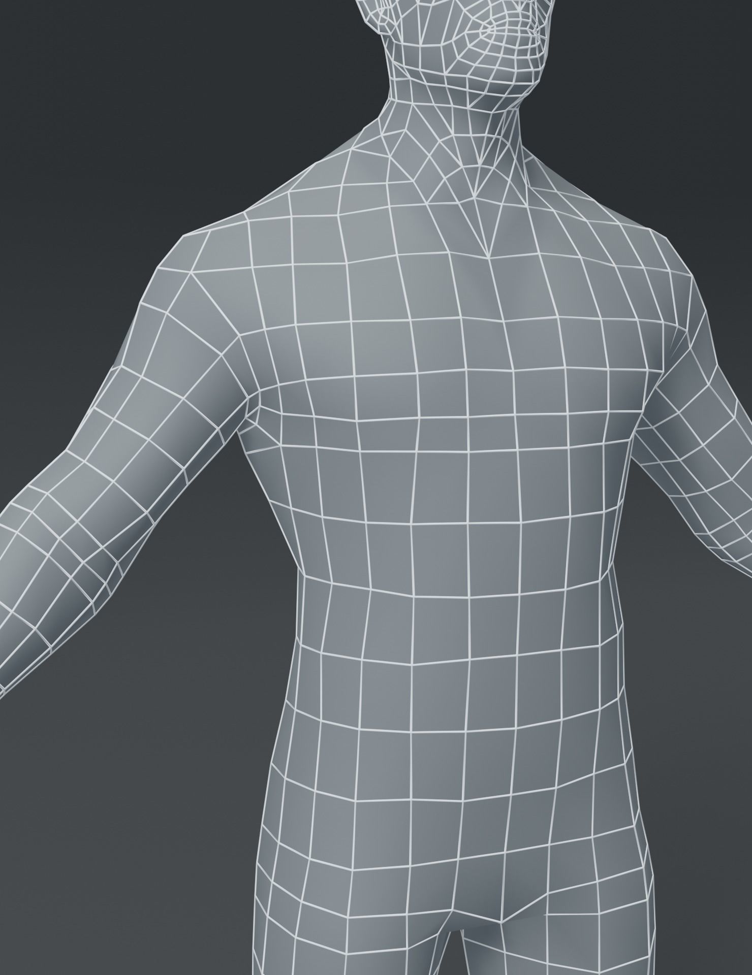 Human Body Base Mesh 3D Model Collection_37