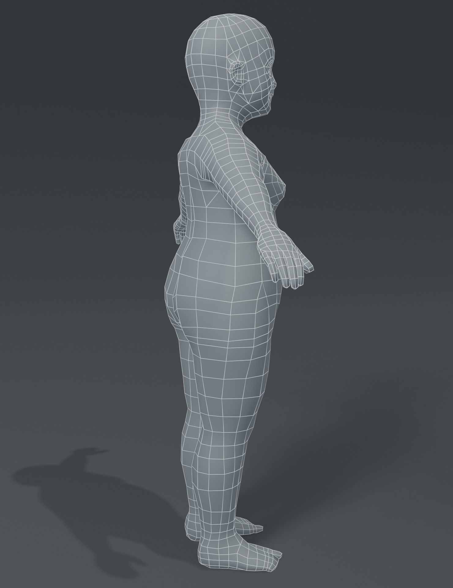 Human Body Base Mesh 3D Model Collection_198