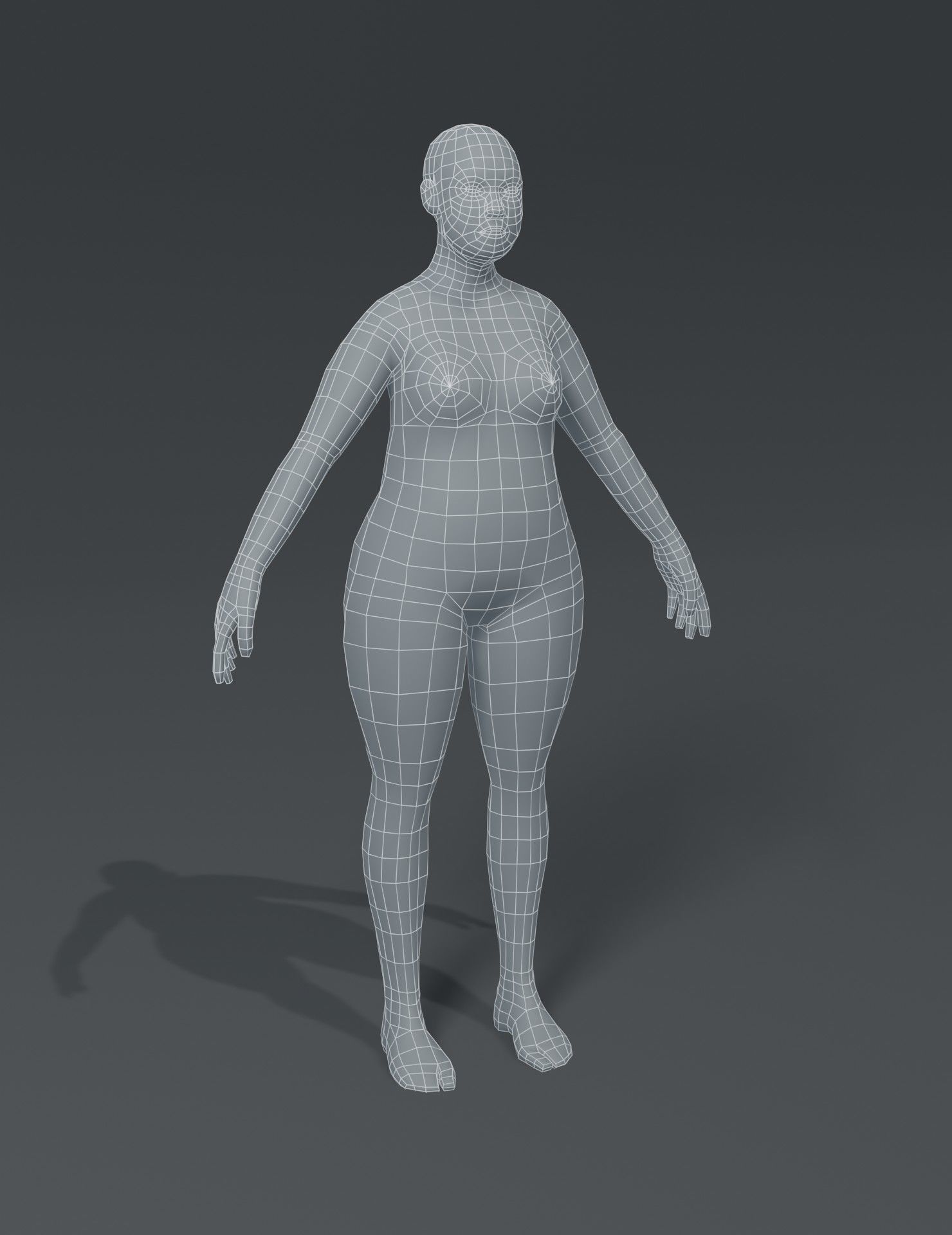 Human Body Base Mesh 3D Model Collection_80