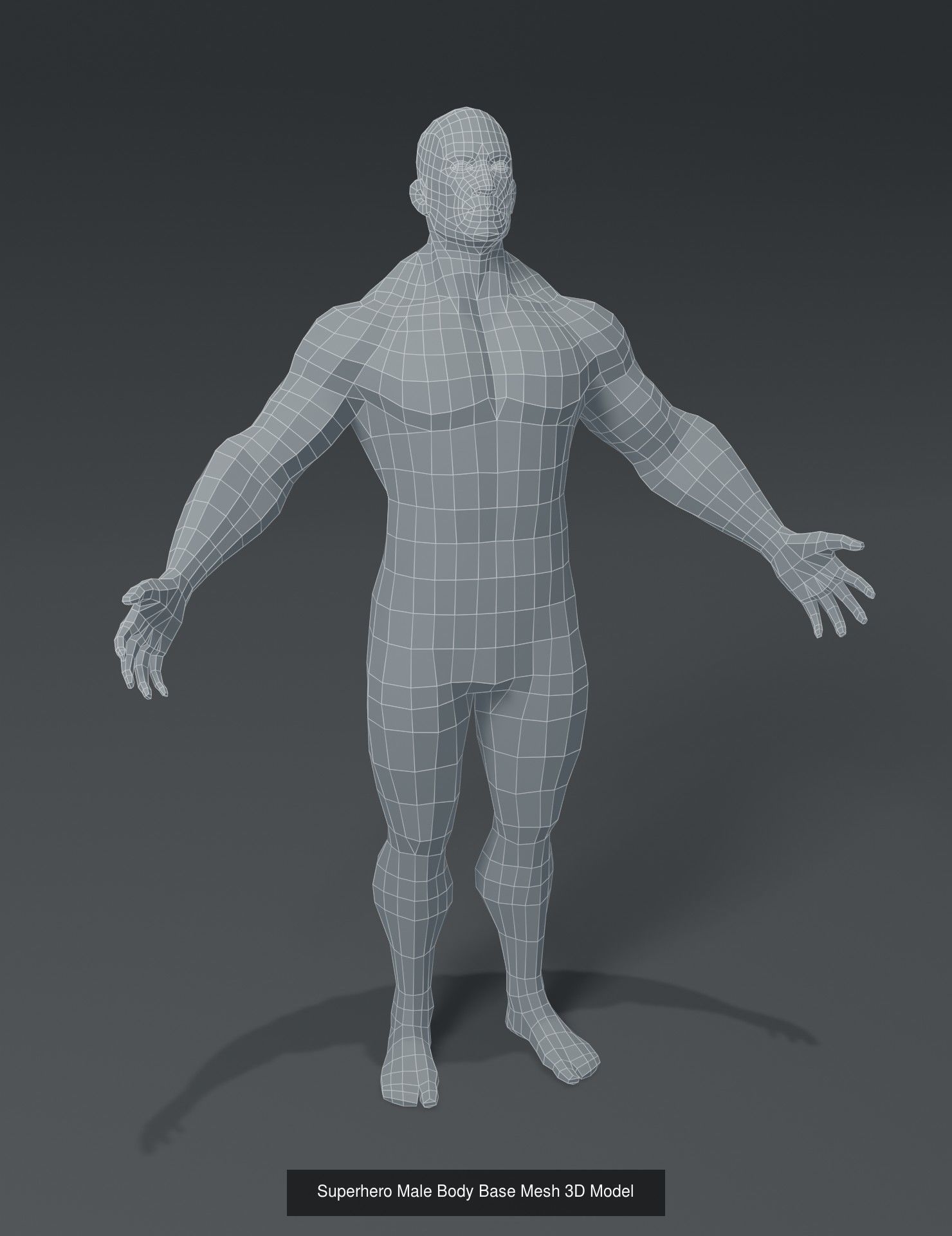 Human Body Base Mesh 3D Model Collection_15