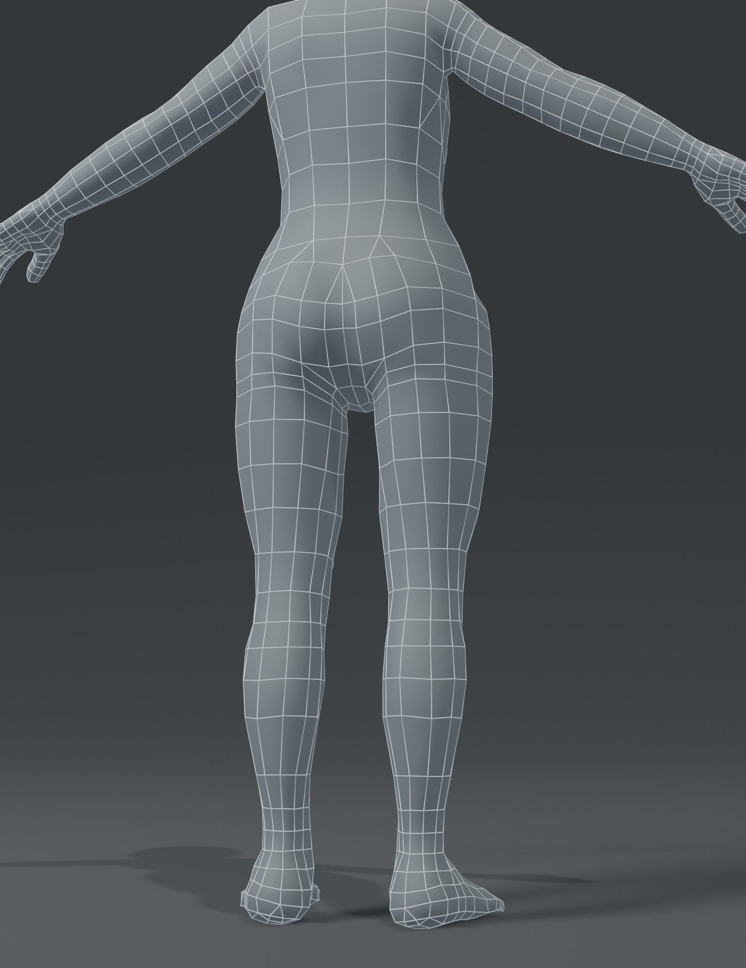 Human Body Base Mesh 3D Model Collection_175
