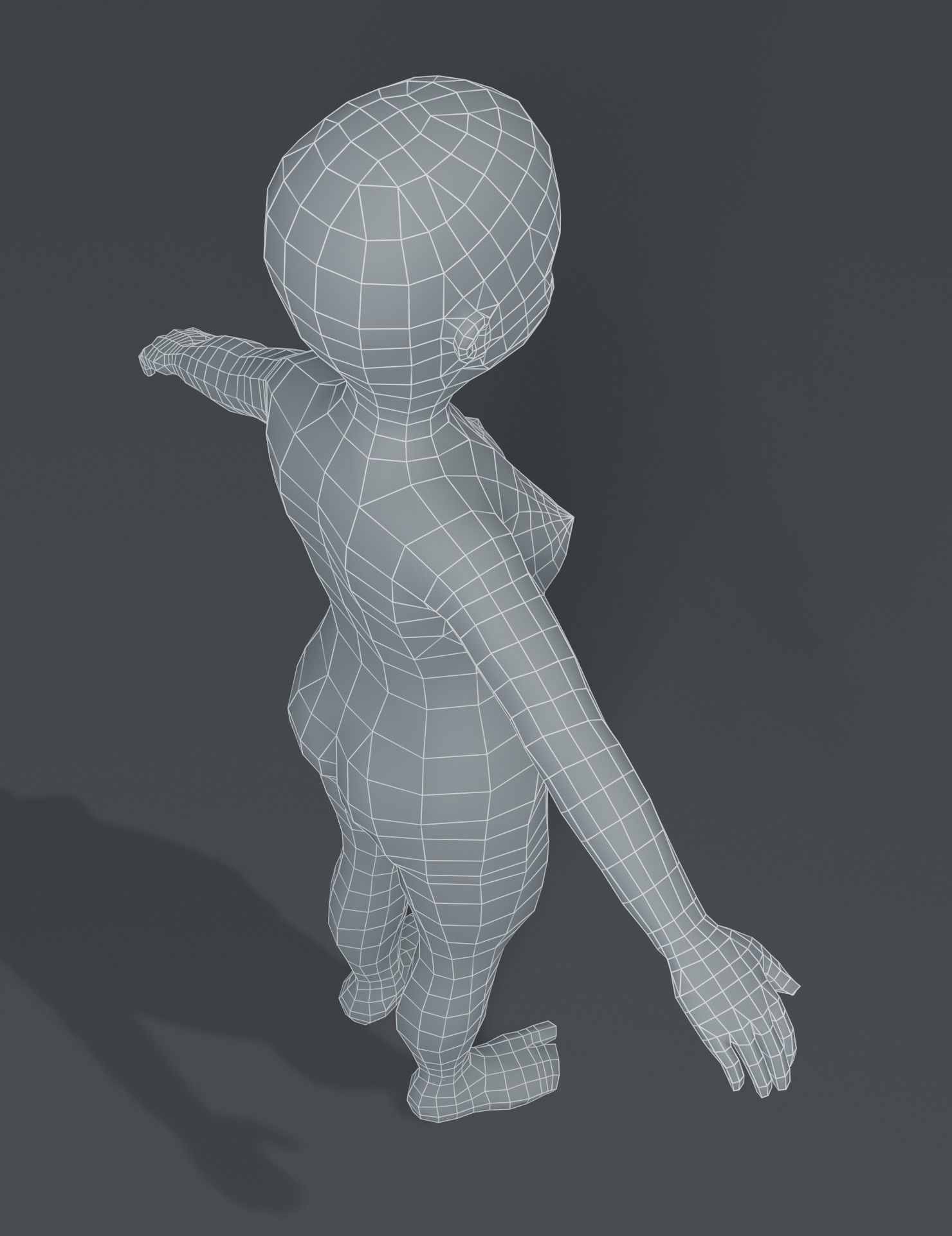 Human Body Base Mesh 3D Model Collection_171