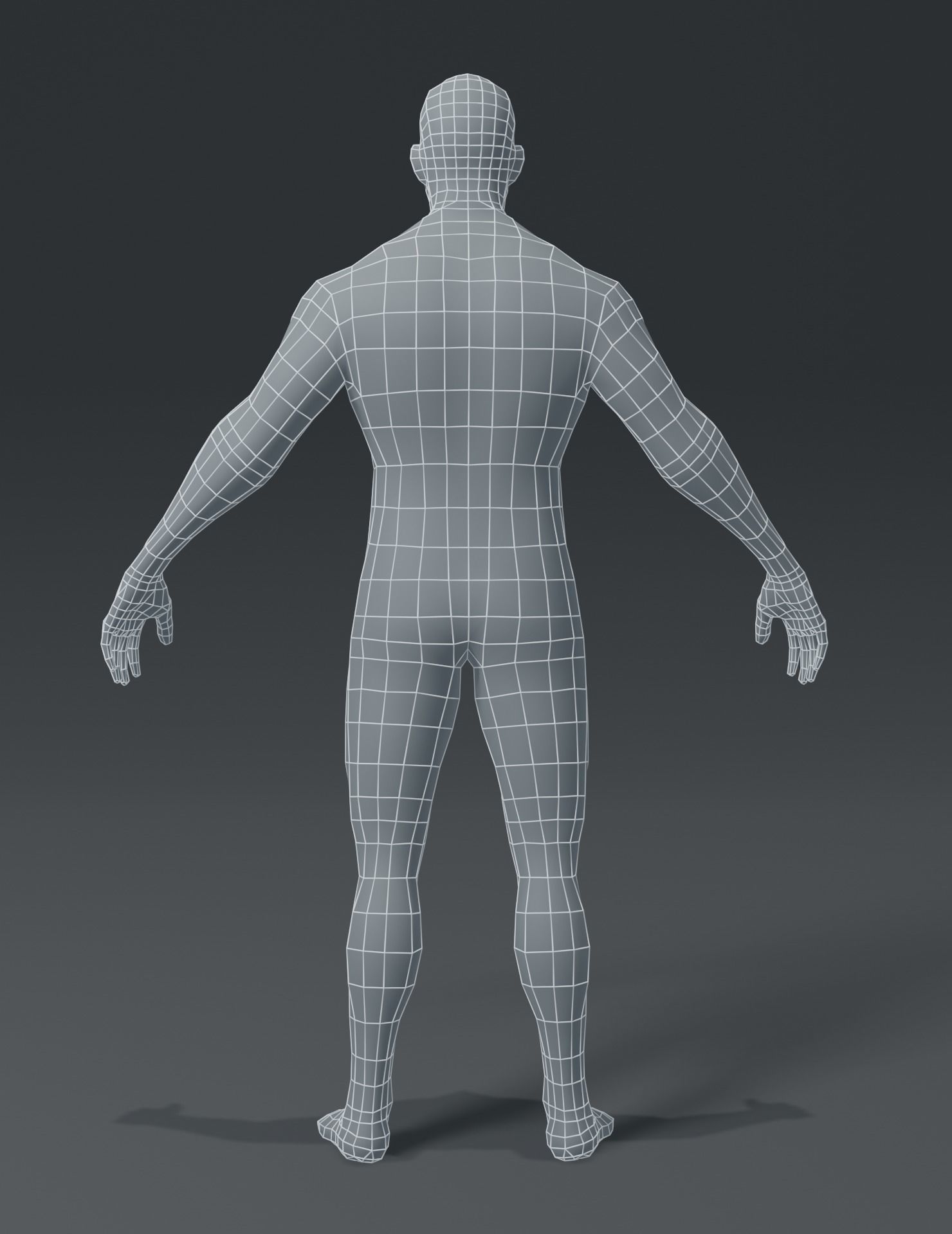 Human Body Base Mesh 3D Model Collection_26