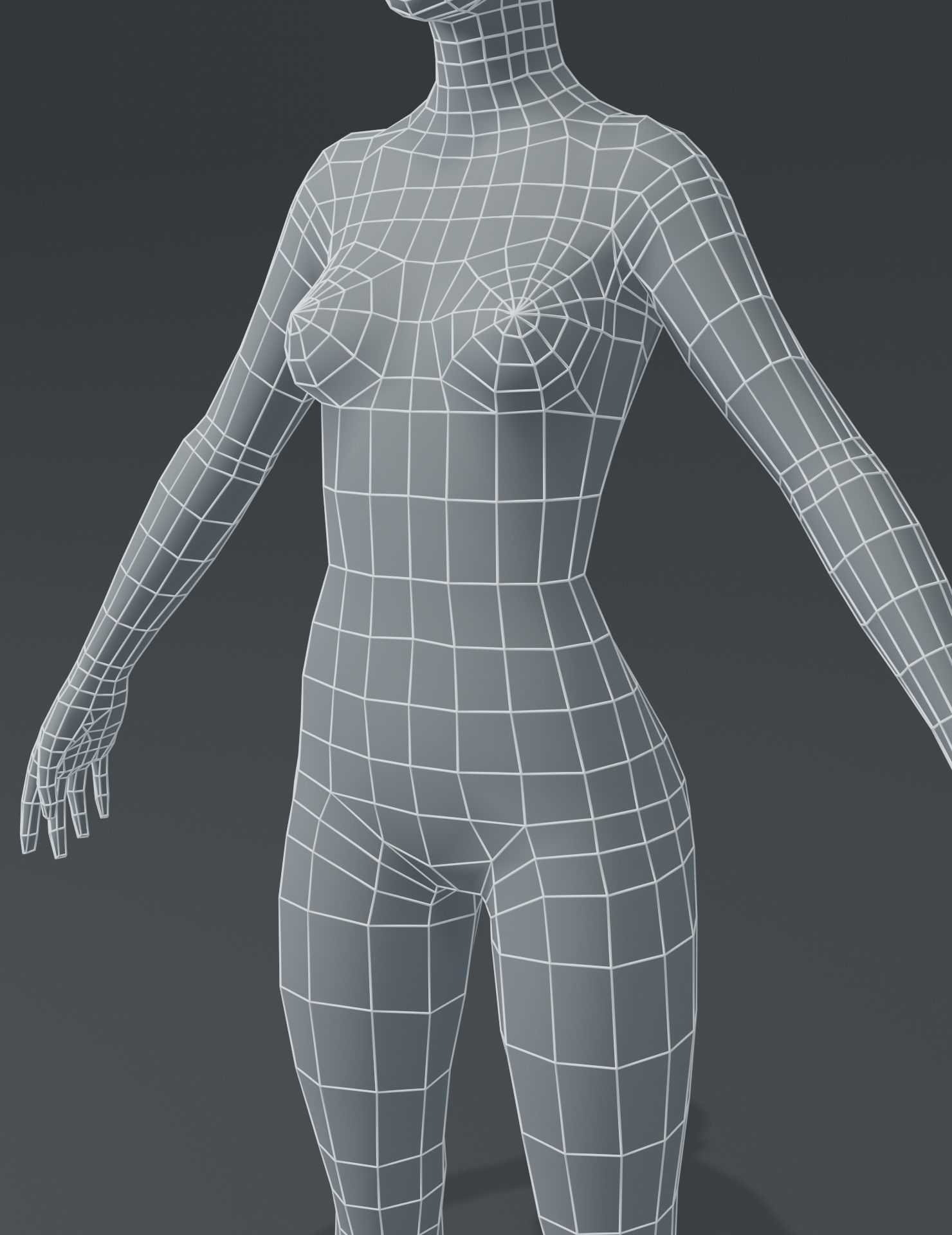 Human Body Base Mesh 3D Model Collection_51