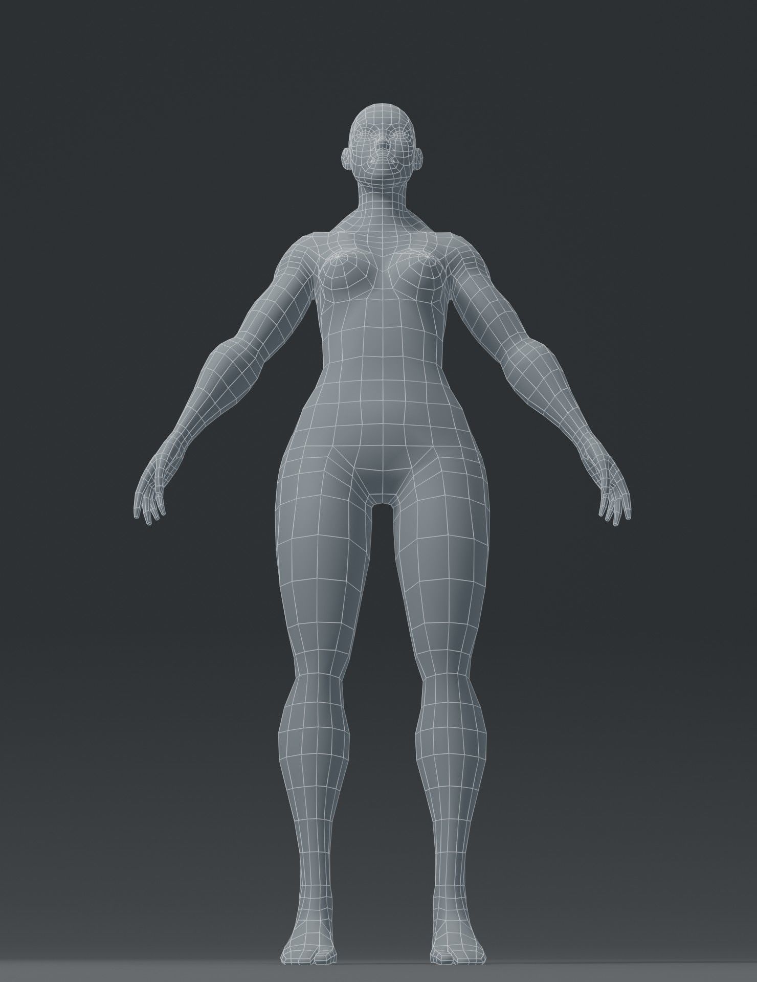 Human Body Base Mesh 3D Model Collection_122