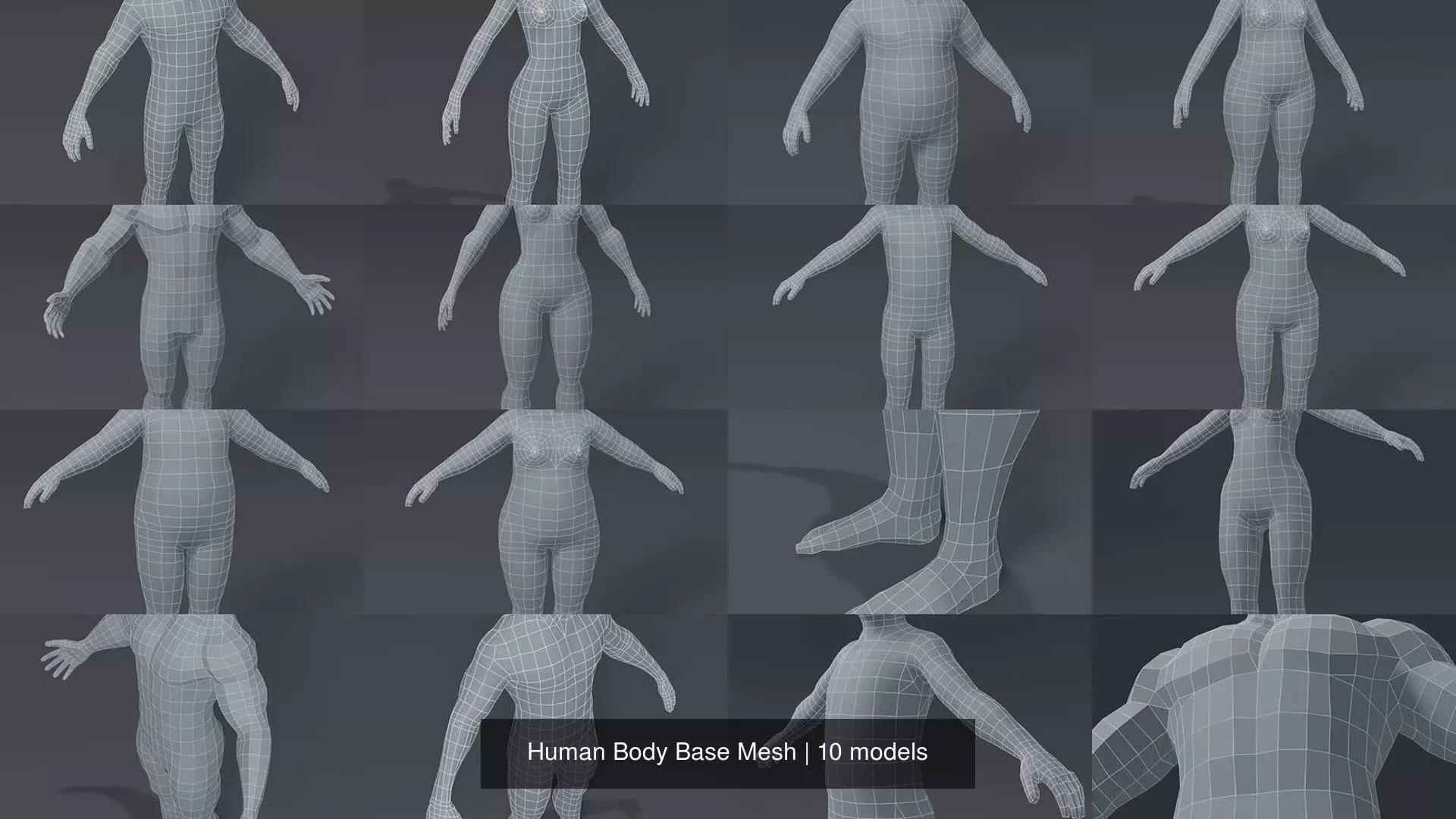 Human Body Base Mesh 3D Model Collection_10