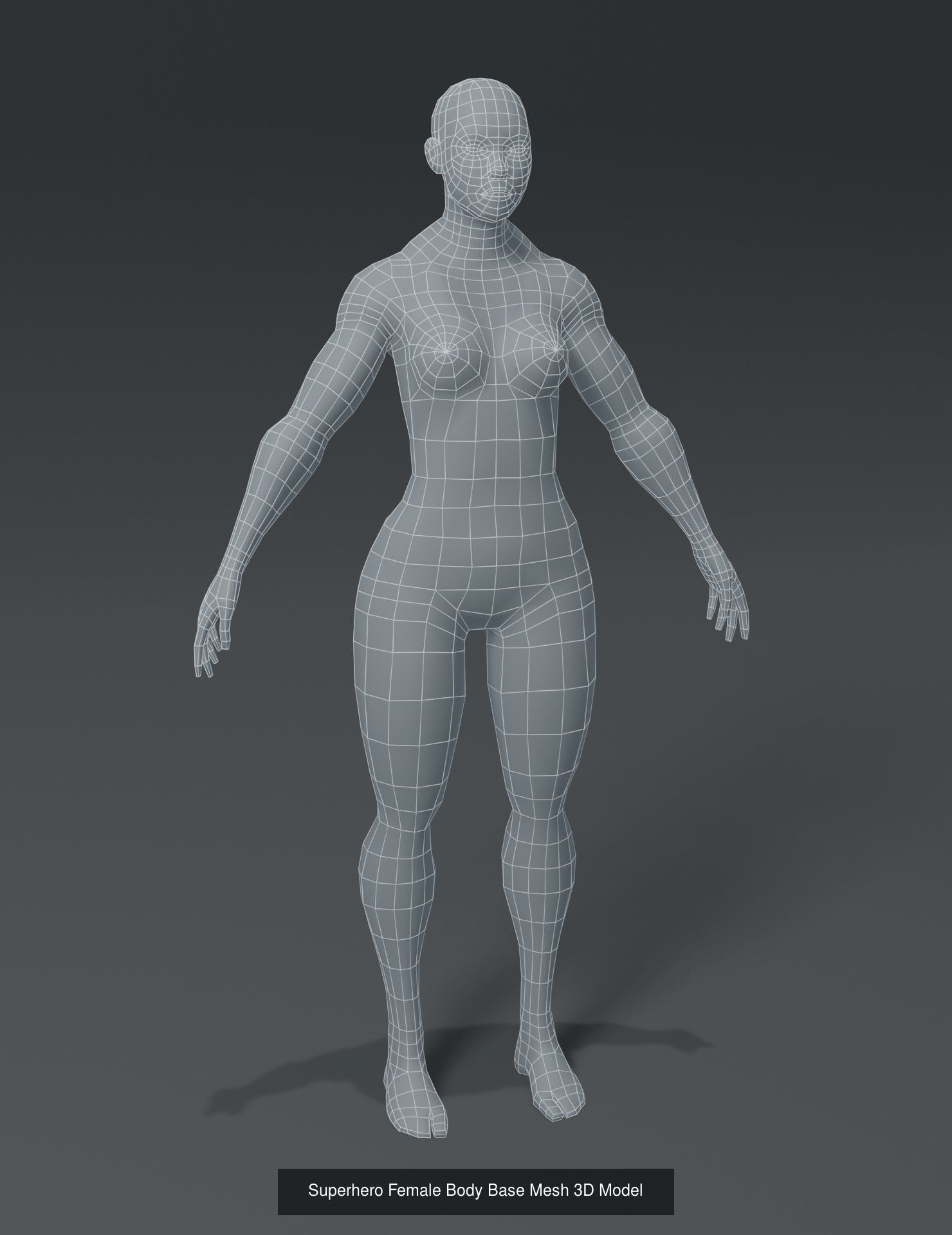 Human Body Base Mesh 3D Model Collection_16