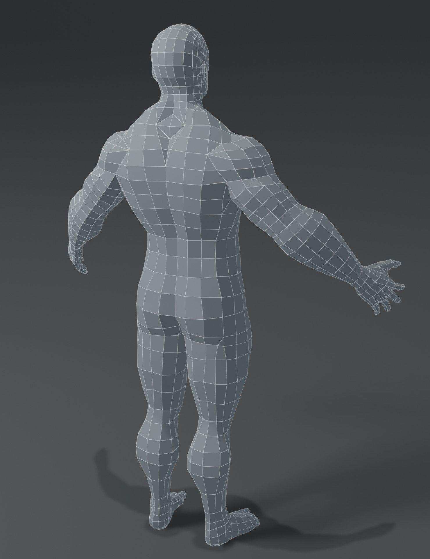 Human Body Base Mesh 3D Model Collection_115