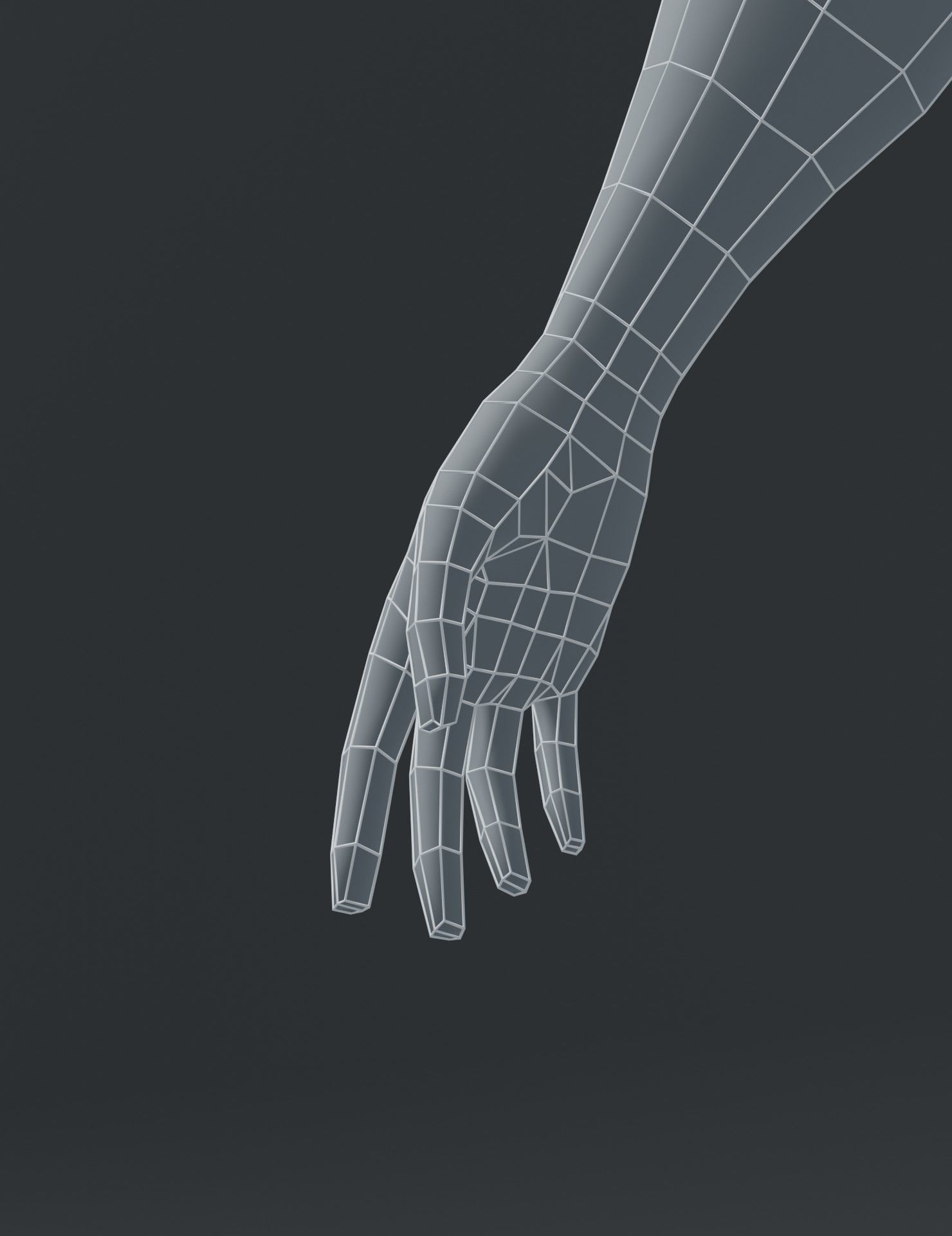 Human Body Base Mesh 3D Model Collection_130