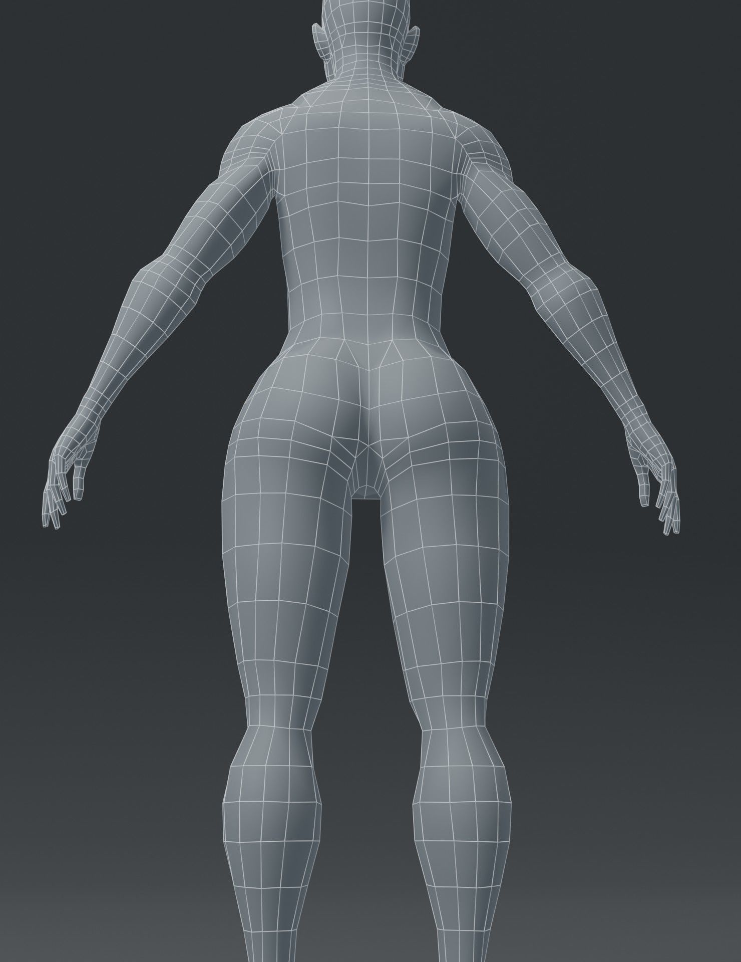 Human Body Base Mesh 3D Model Collection_131