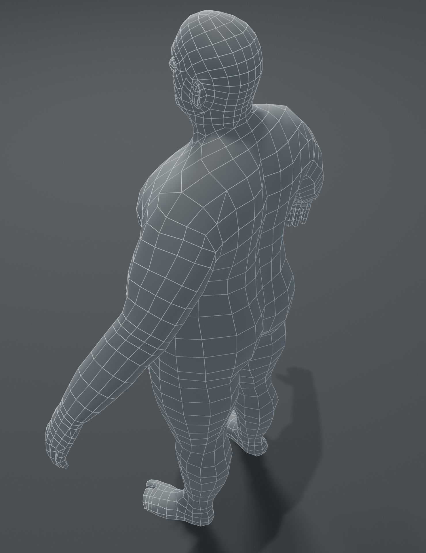 Human Body Base Mesh 3D Model Collection_65