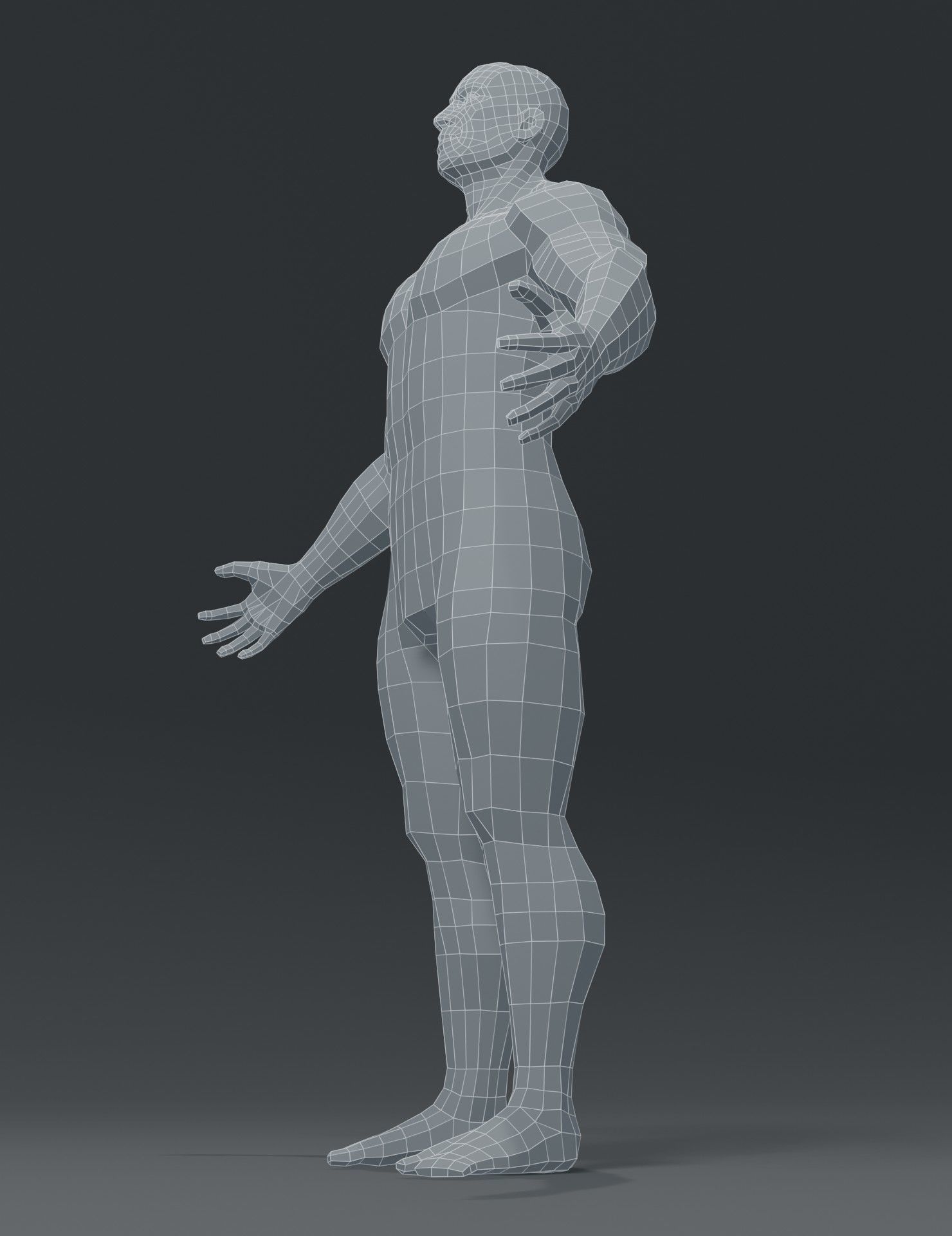 Human Body Base Mesh 3D Model Collection_108