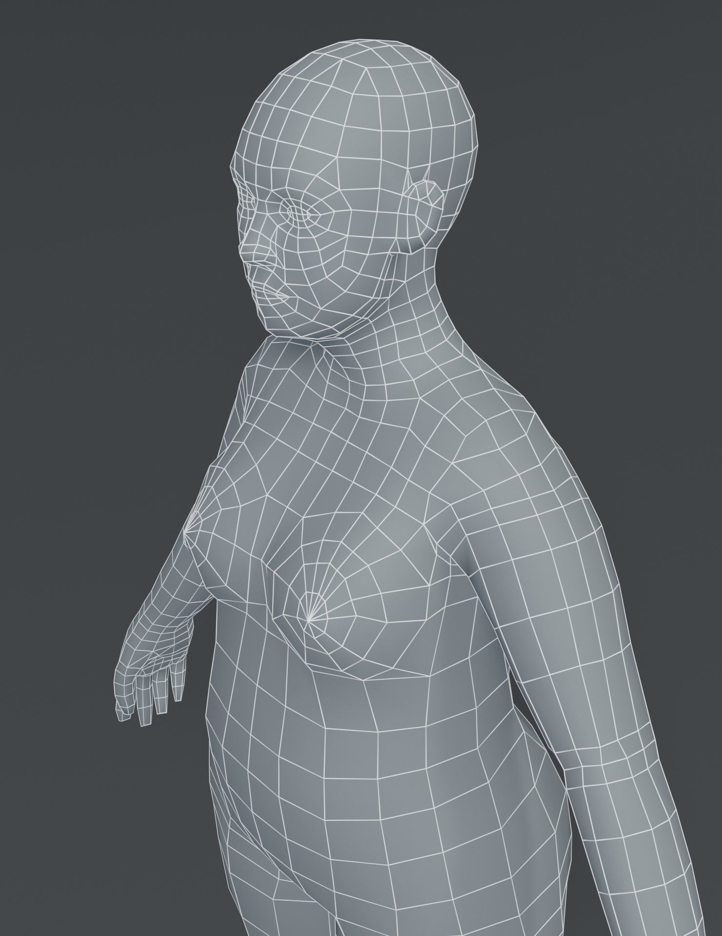 Human Body Base Mesh 3D Model Collection_90