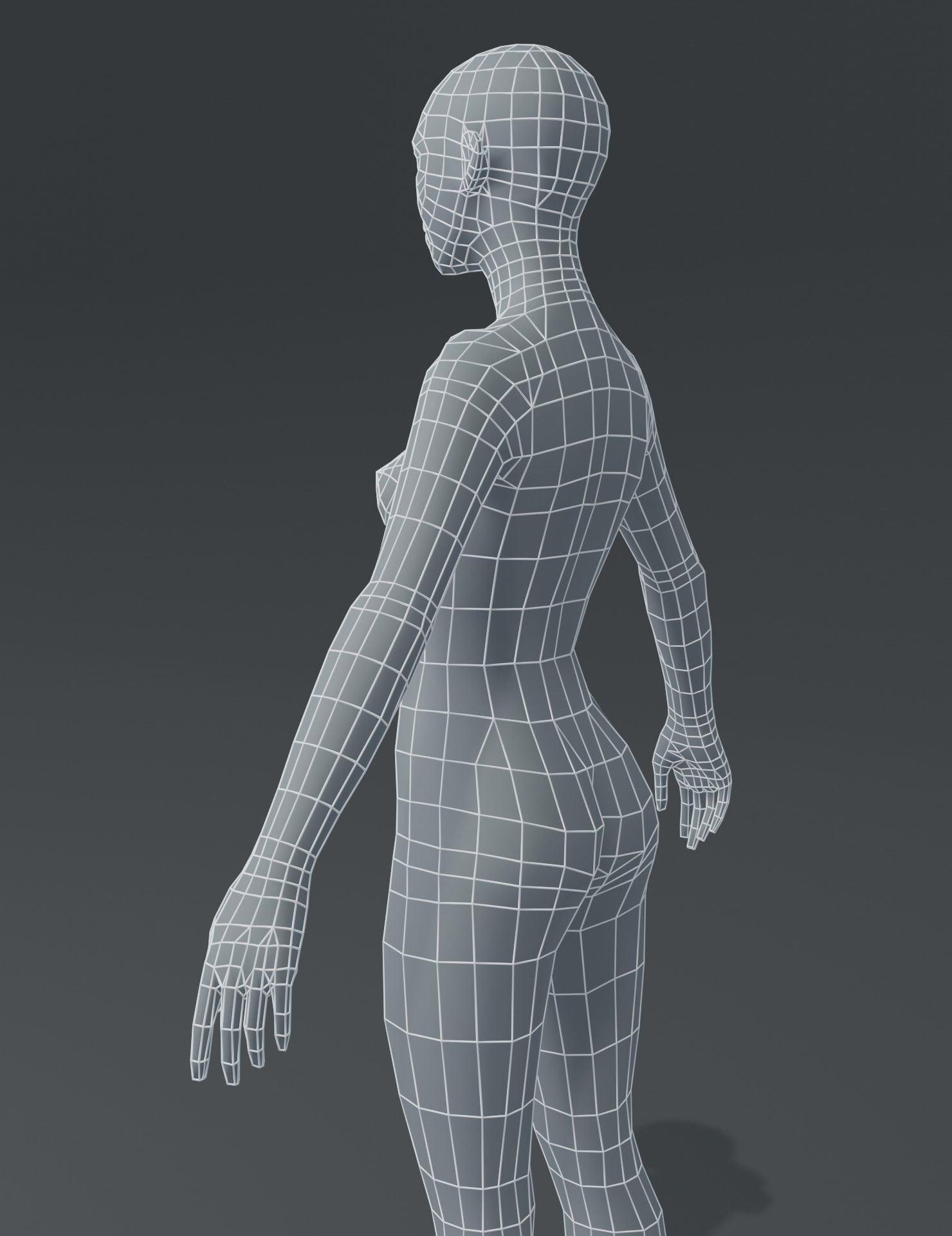 Human Body Base Mesh 3D Model Collection_40