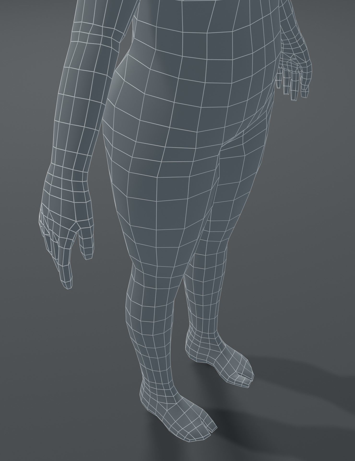Human Body Base Mesh 3D Model Collection_92