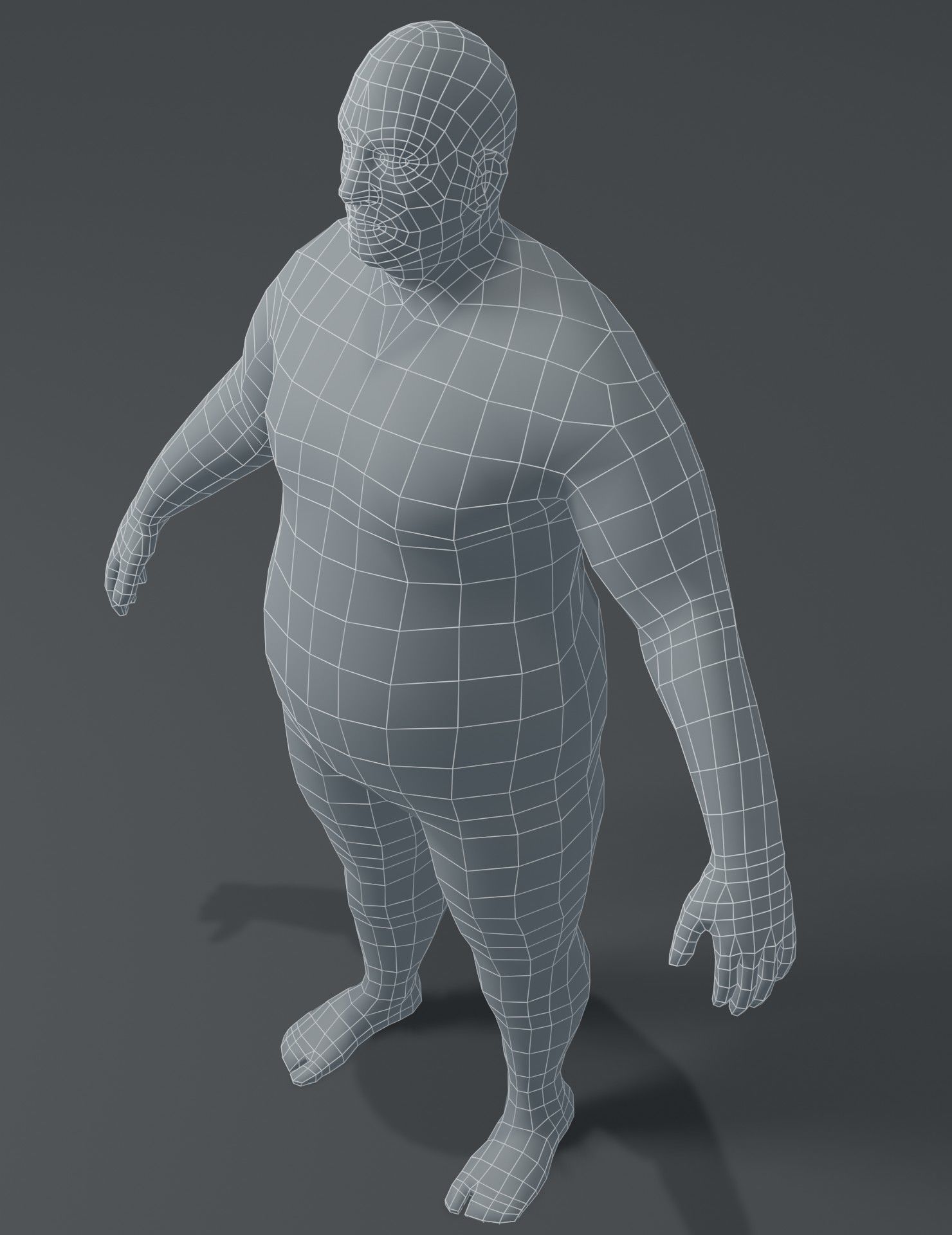 Human Body Base Mesh 3D Model Collection_68
