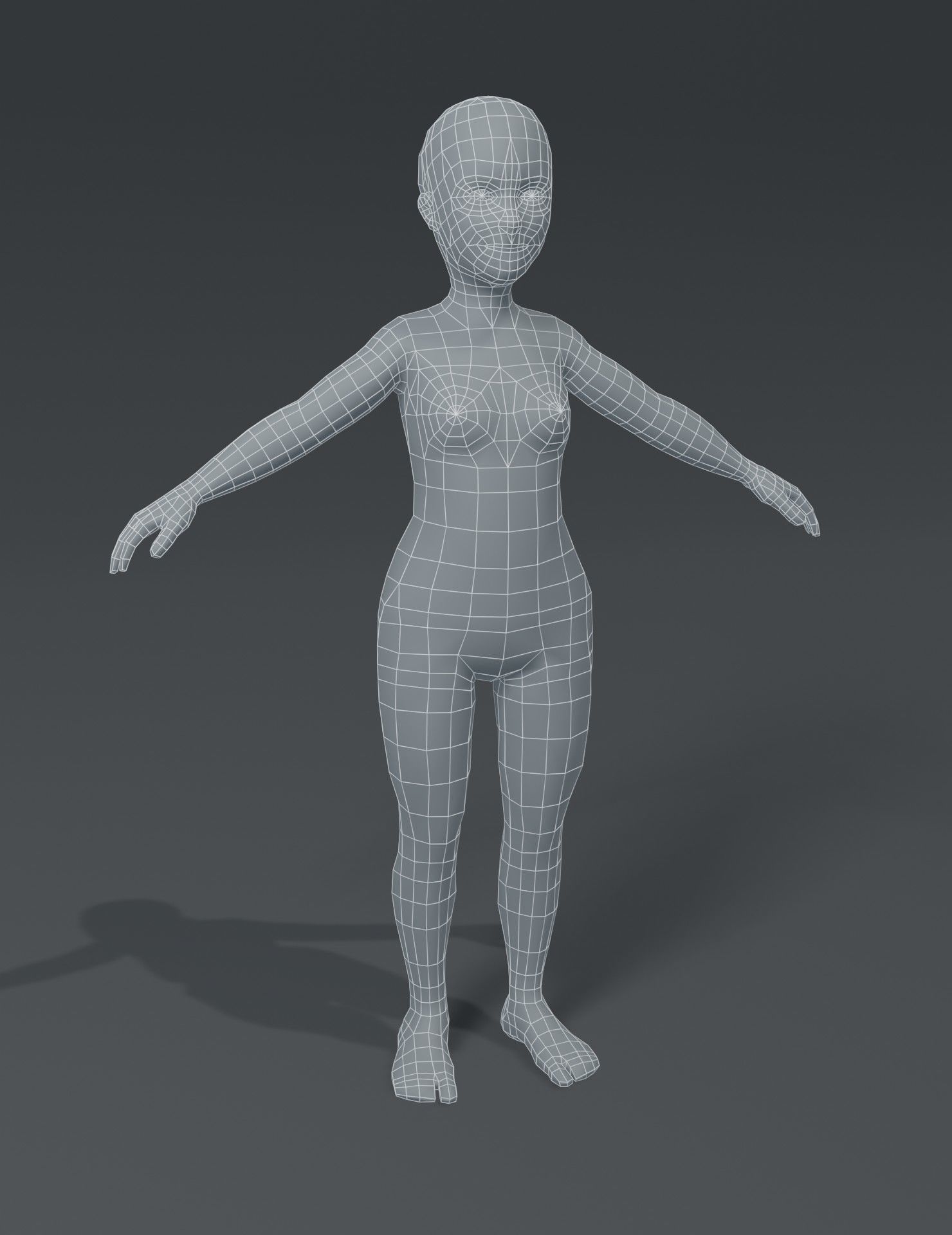 Human Body Base Mesh 3D Model Collection_160