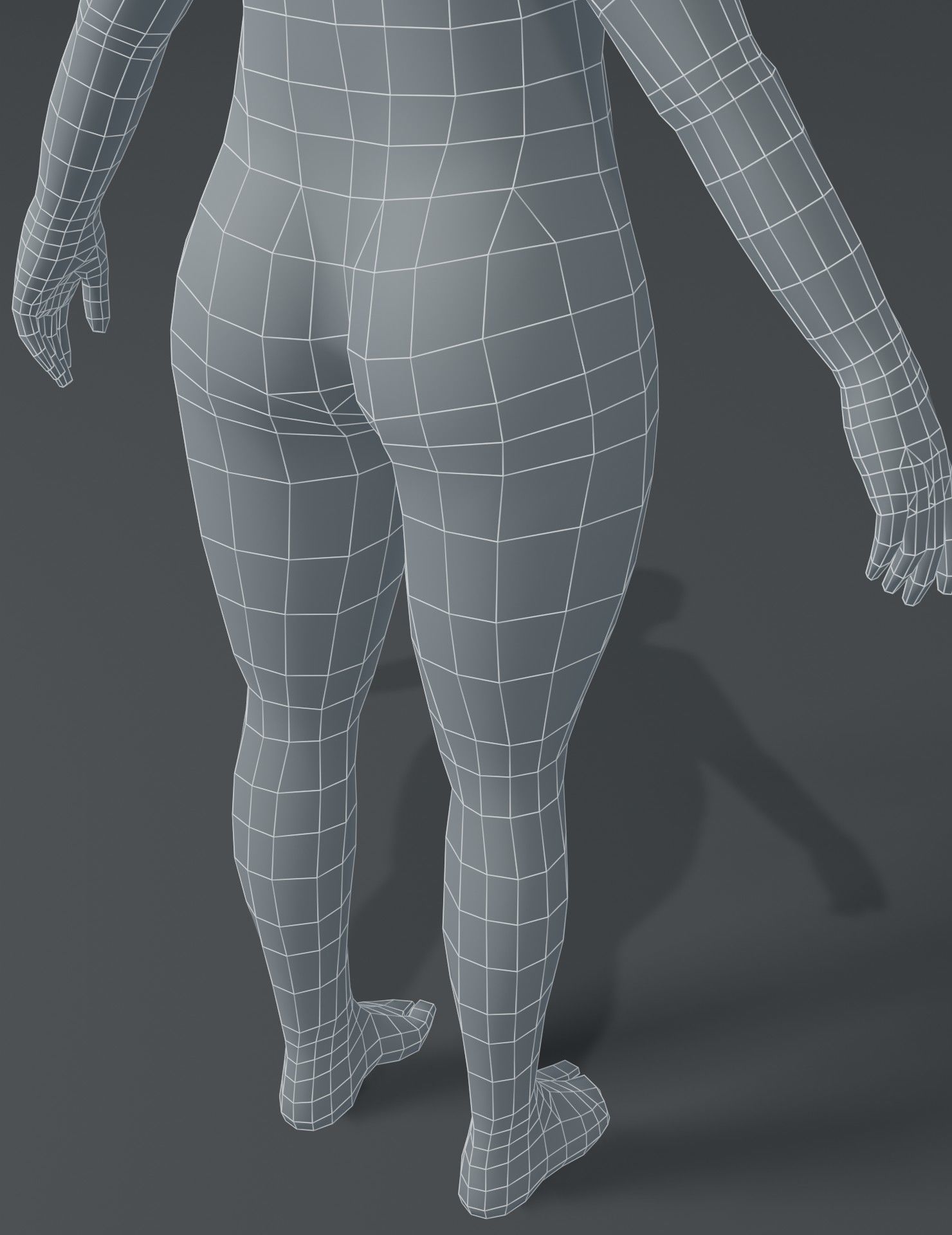 Human Body Base Mesh 3D Model Collection_97