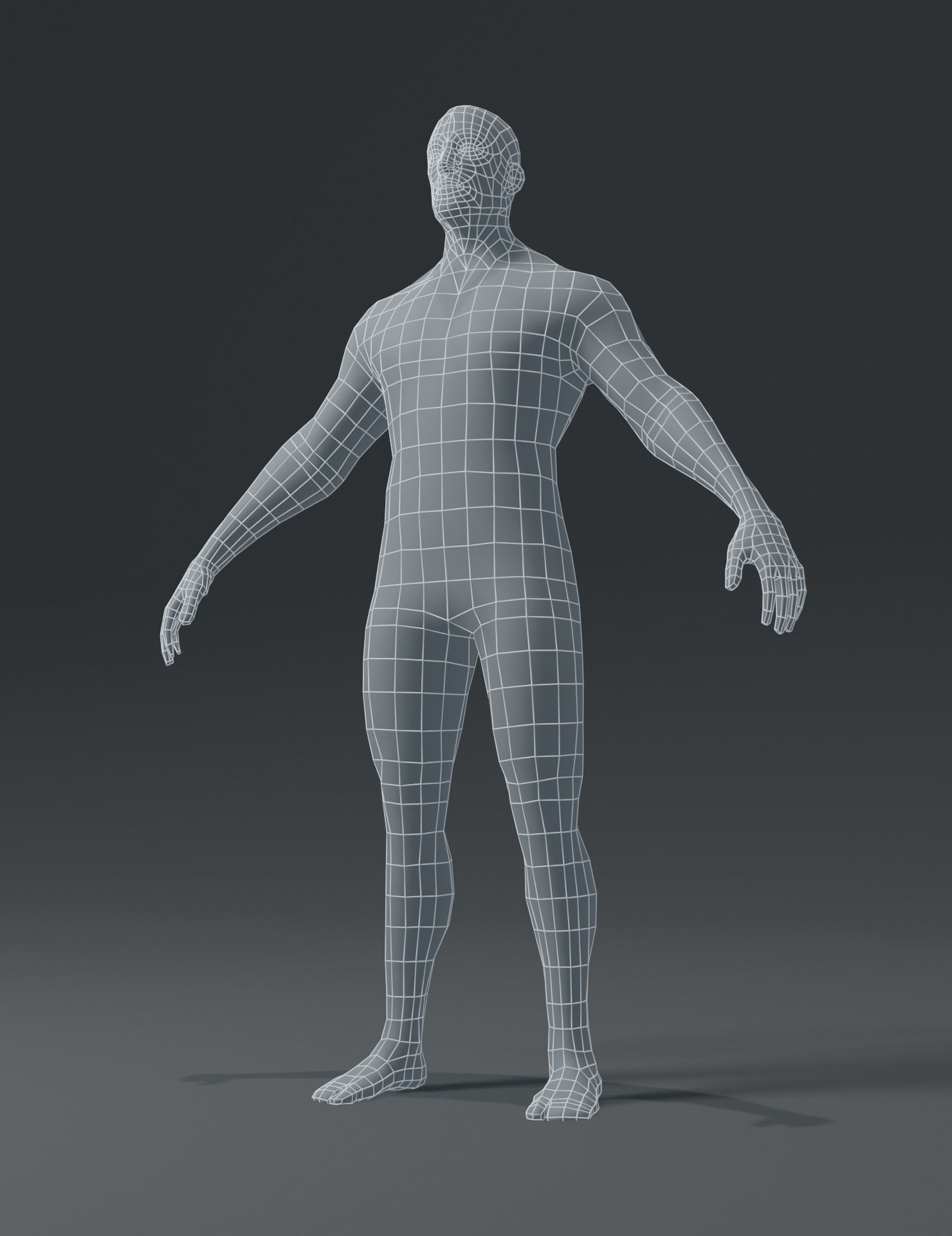 Human Body Base Mesh 3D Model Collection_32