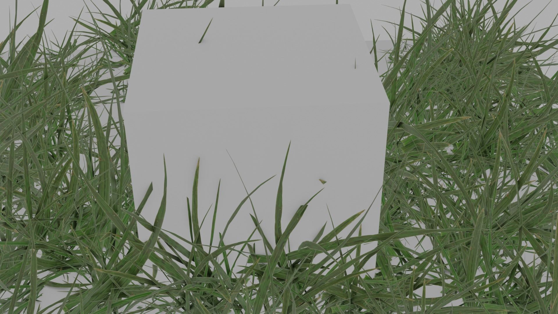HD Grass Cluster Low-poly 3D model_4