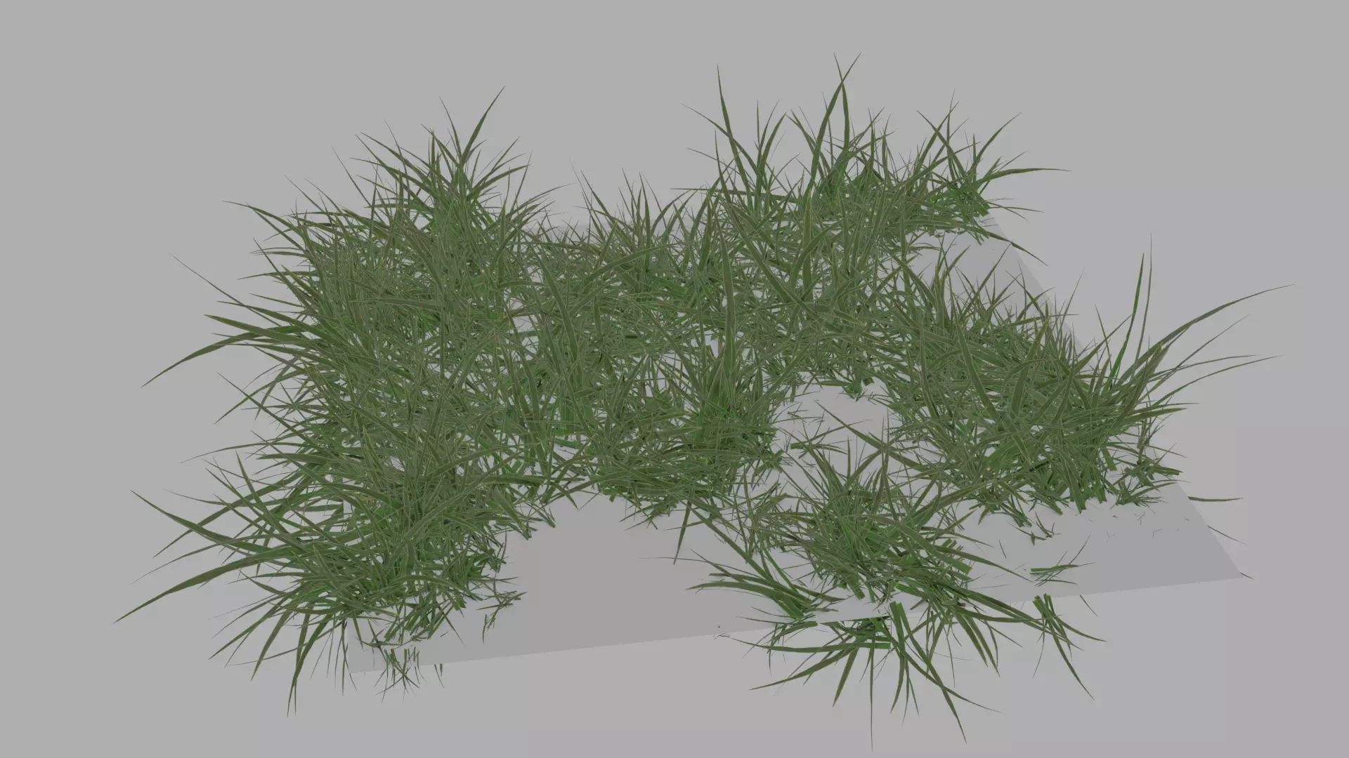 HD Grass Cluster Low-poly 3D model_0