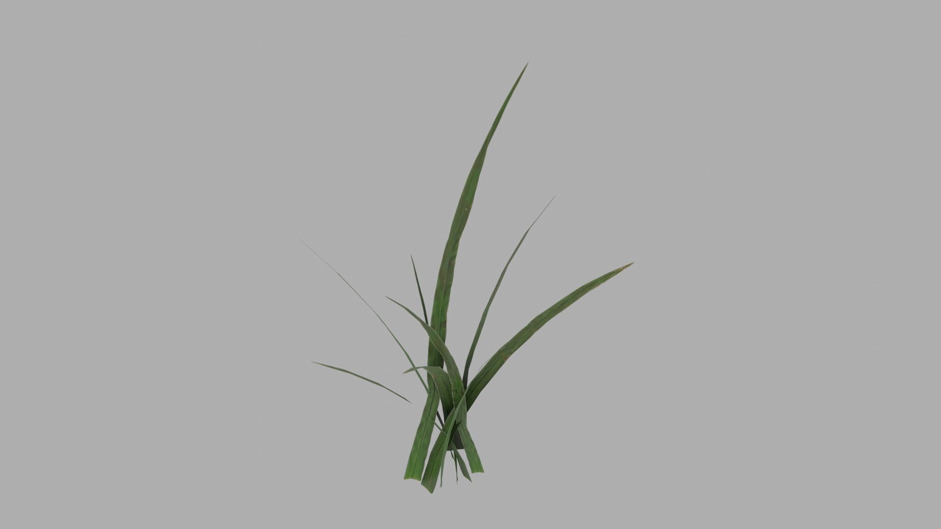 HD Grass Cluster Low-poly 3D model_5