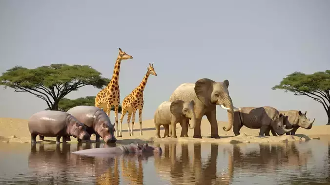 african animals low-poly 3D model