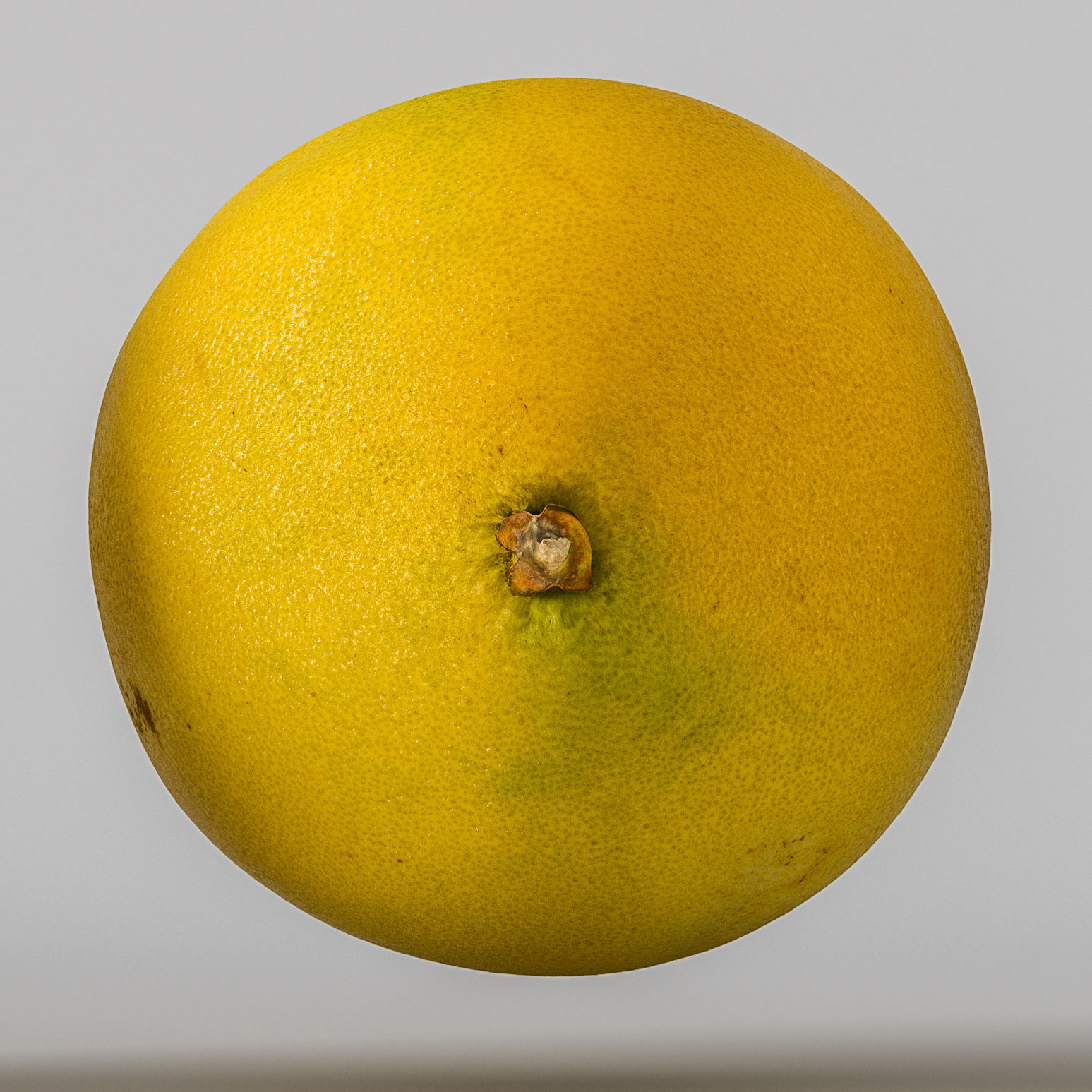 Pomelo 3D model_4