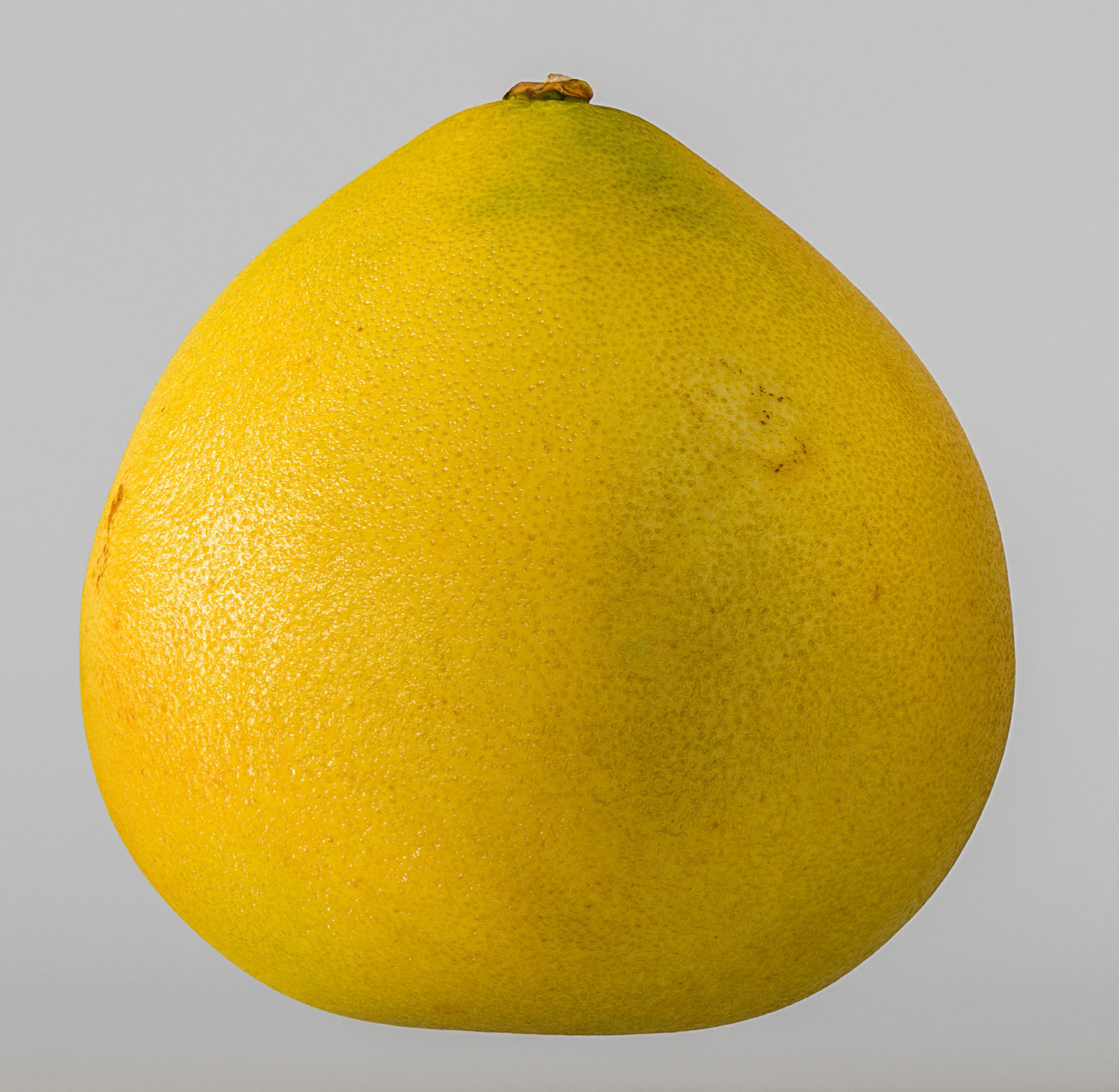 Pomelo 3D model_3