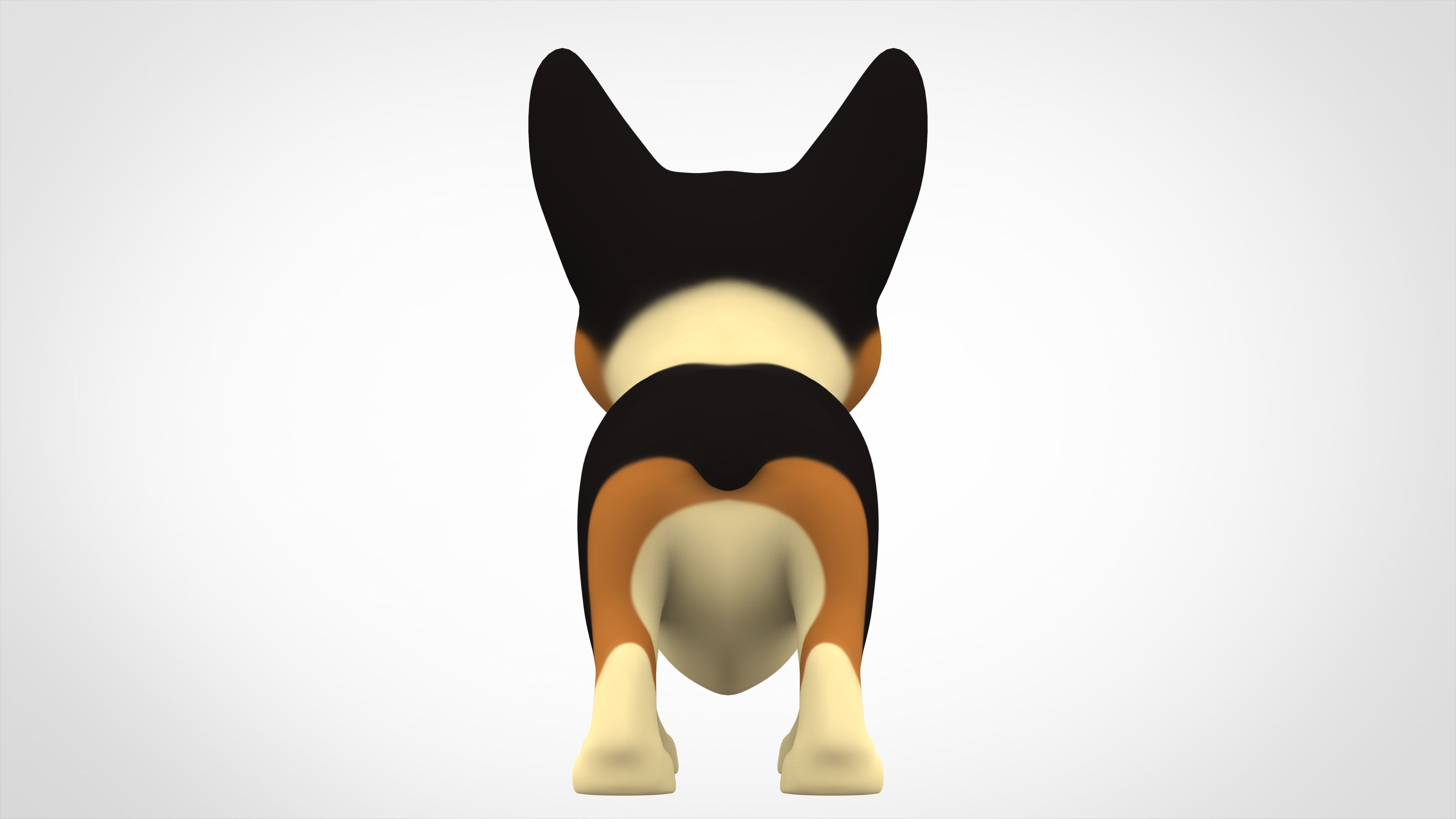 Corgi  Low-poly 3D model_3