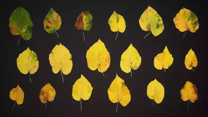 Tilia Autumn Leaves 4k Scanned Low-poly 3D model