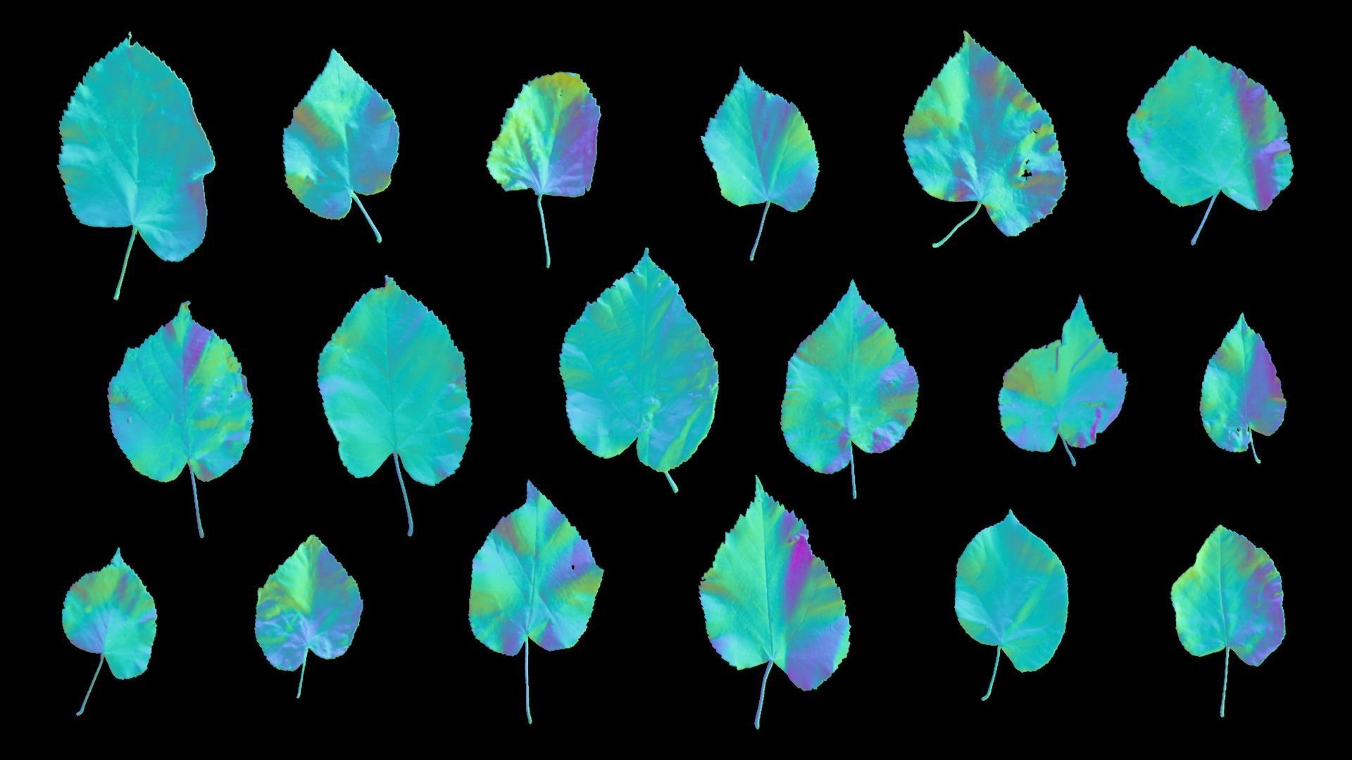 Tilia Autumn Leaves 4k Scanned Low-poly 3D model_19